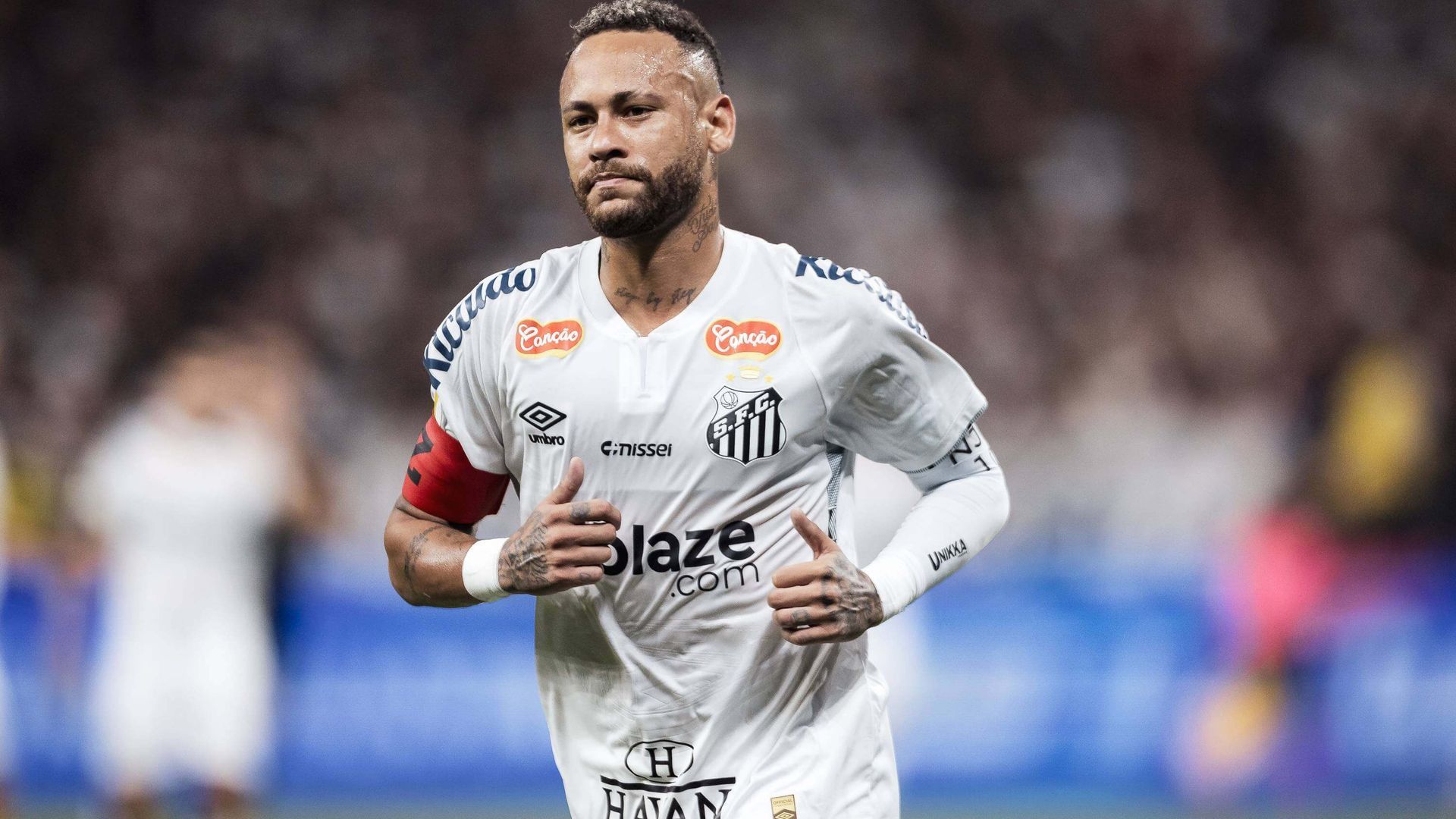 20250212_zaf_i88_062jpg_001.jpg 20250212_zaf_i88_062jpg_001.jpg