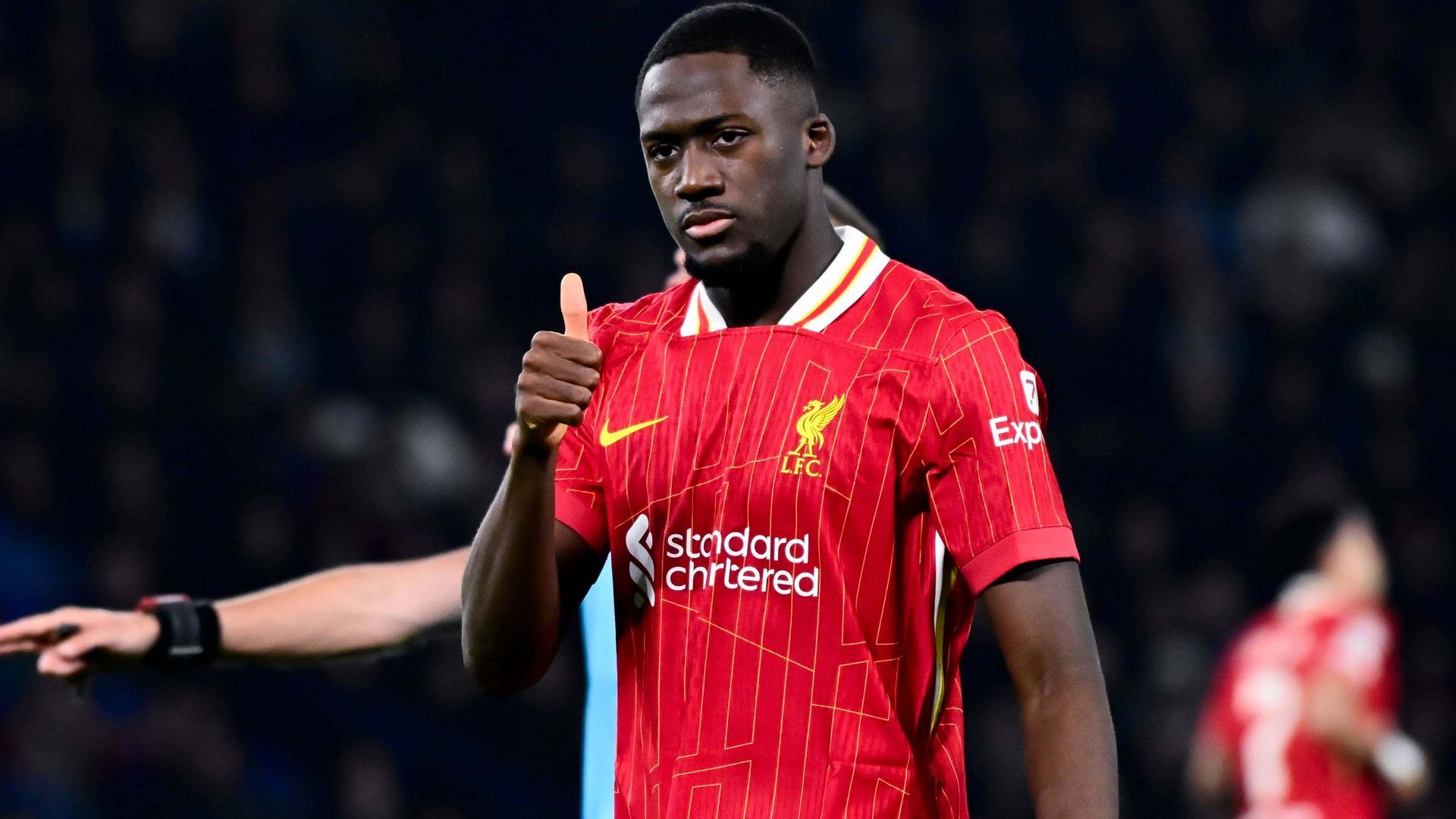 20250305_zsa_p264_287jpg_001.jpg 20250305_zsa_p264_287jpg_001.jpg