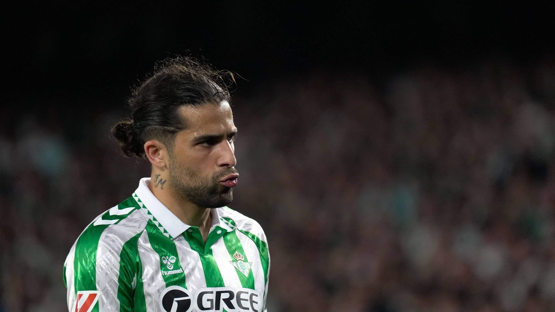 20250330_zsa_s248_590jpg.jpg 20250330_zsa_s248_590jpg.jpg