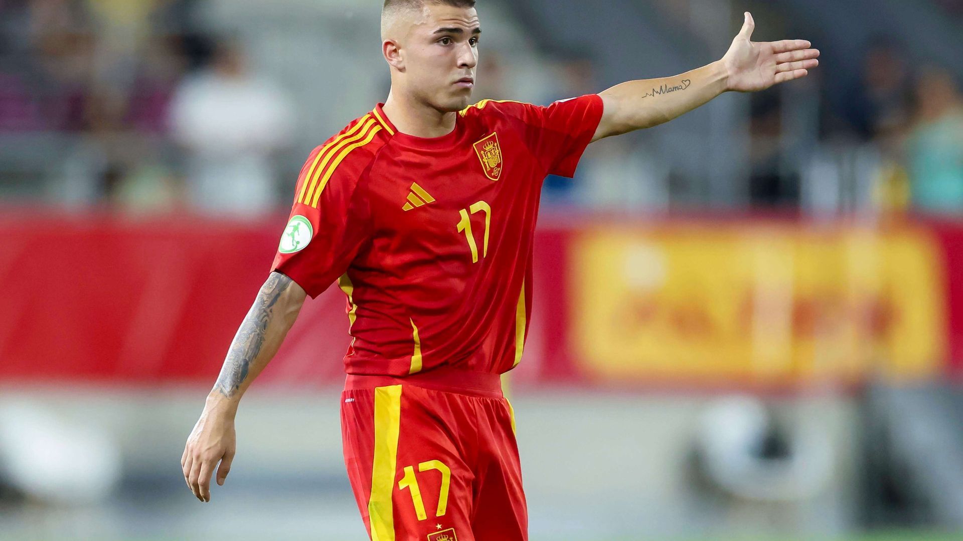 20250626_zsa_d321_480jpg.jpg 20250626_zsa_d321_480jpg.jpg