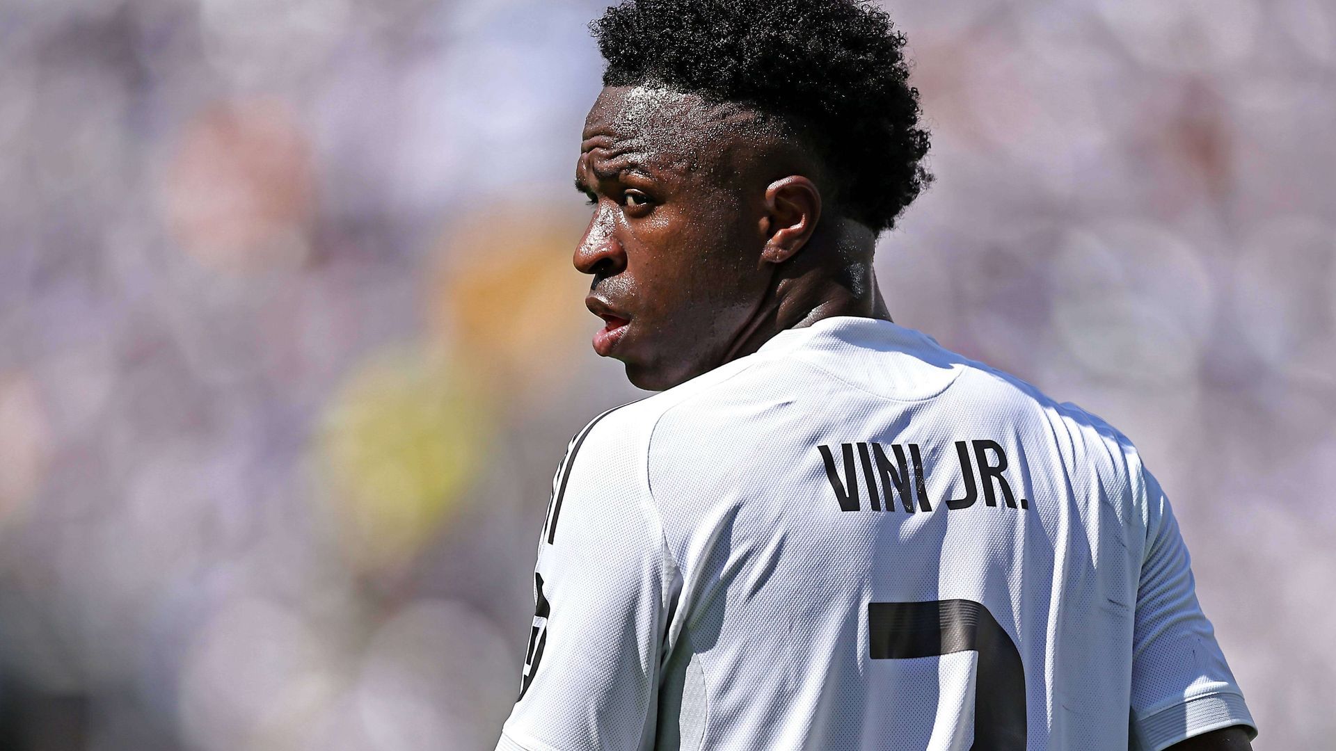 20250709_zsa_s248_184jpg.jpg 20250709_zsa_s248_184jpg.jpg