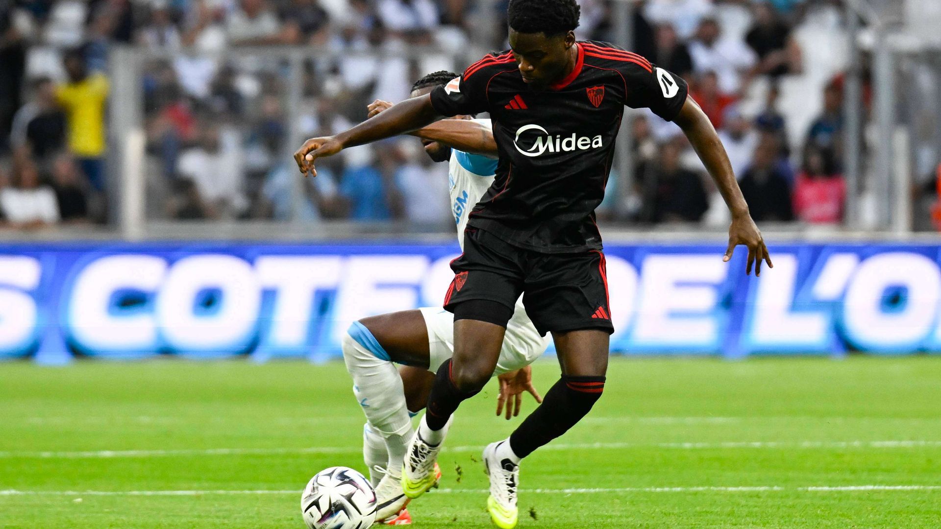 20250802_zsa_p264_184.jpg 20250802_zsa_p264_184.jpg