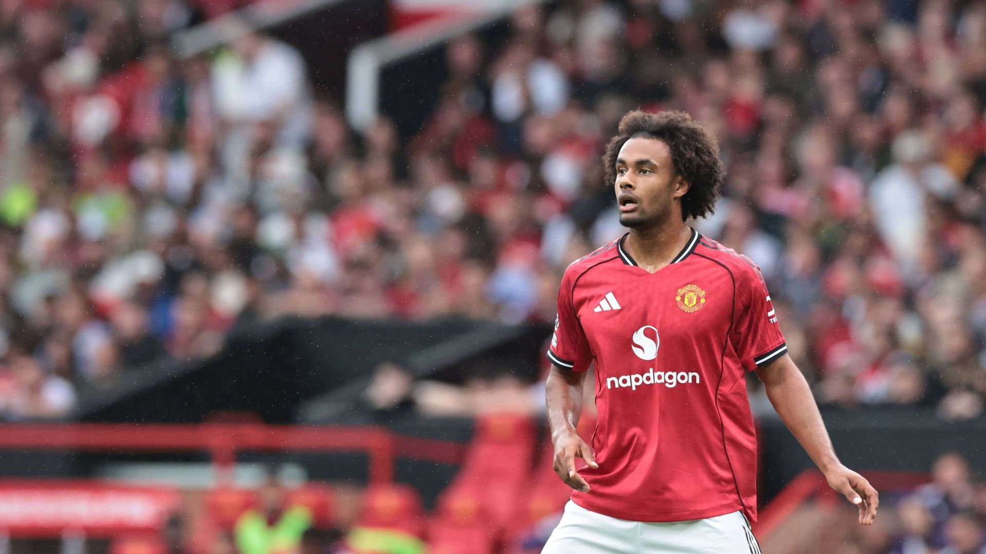 20250830_zsa_n307_554.jpg 20250830_zsa_n307_554.jpg