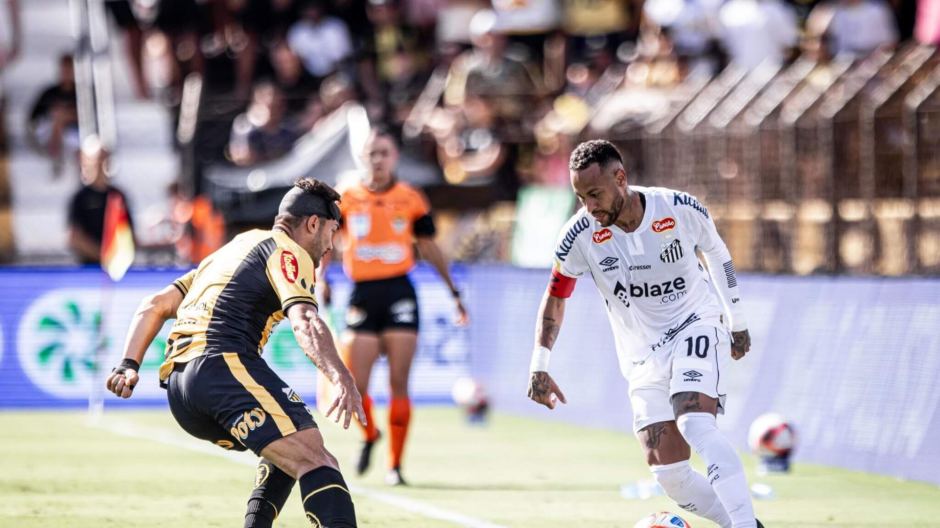 21e1c41a_d162_4e10_9580_461aee440504_2048x1638.jpg 21e1c41a_d162_4e10_9580_461aee440504_2048x1638.jpg