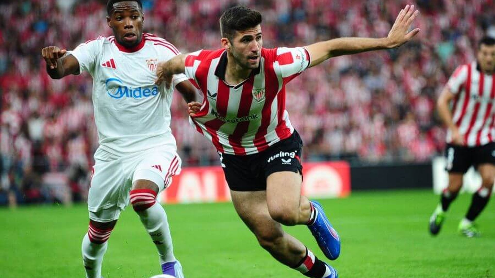 223aec73319ff4c60ad6bfccc3670d37jpeg.jpeg 223aec73319ff4c60ad6bfccc3670d37jpeg.jpeg