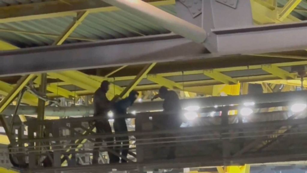 Un encapuchado en el techo del estadio retrasó el inicio de la segunda parte en el Alemania - Dinamarca