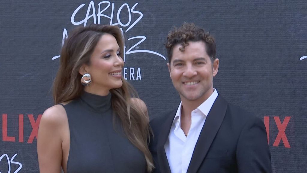 David Bisbal confiesa su pasión por la Fórmula 1 y Fernando Alonso