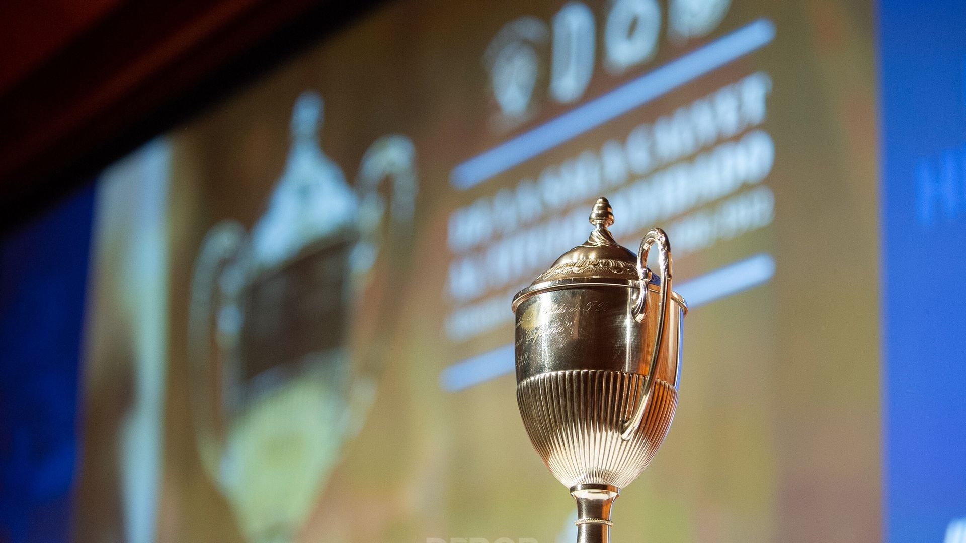 320520318_859876311801961_3237925164772966881_n.jpg 320520318_859876311801961_3237925164772966881_n.jpg