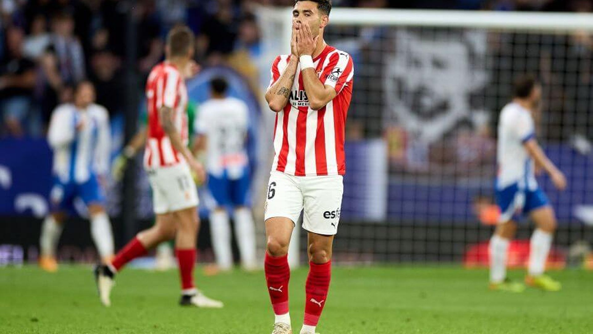 3a236eecc19a61104b16025cf00614c0jpeg_001.jpeg 3a236eecc19a61104b16025cf00614c0jpeg_001.jpeg