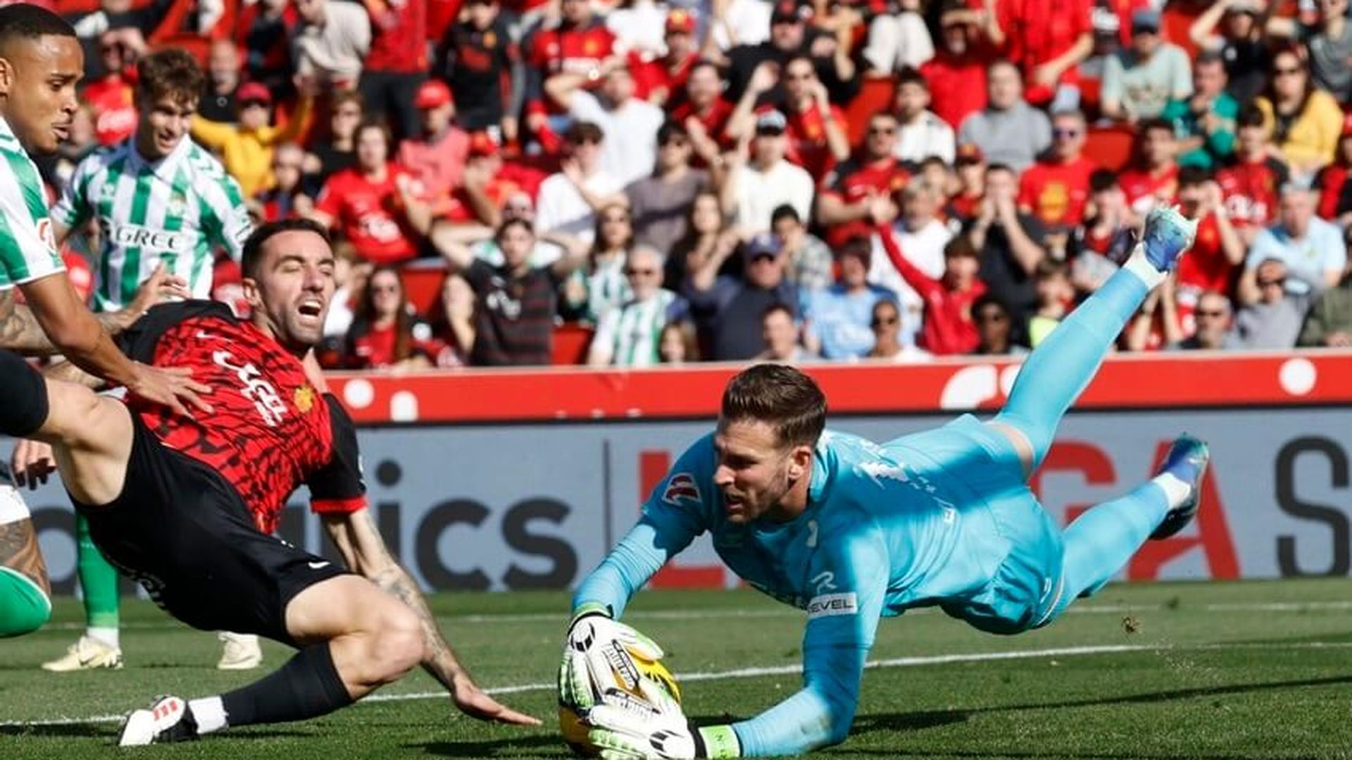 4e98798b_17d1_4f97_9602_079dadc25f4e_source_aspect_ratio_850w_0_001jpg_001.jpg 4e98798b_17d1_4f97_9602_079dadc25f4e_source_aspect_ratio_850w_0_001jpg_001.jpg