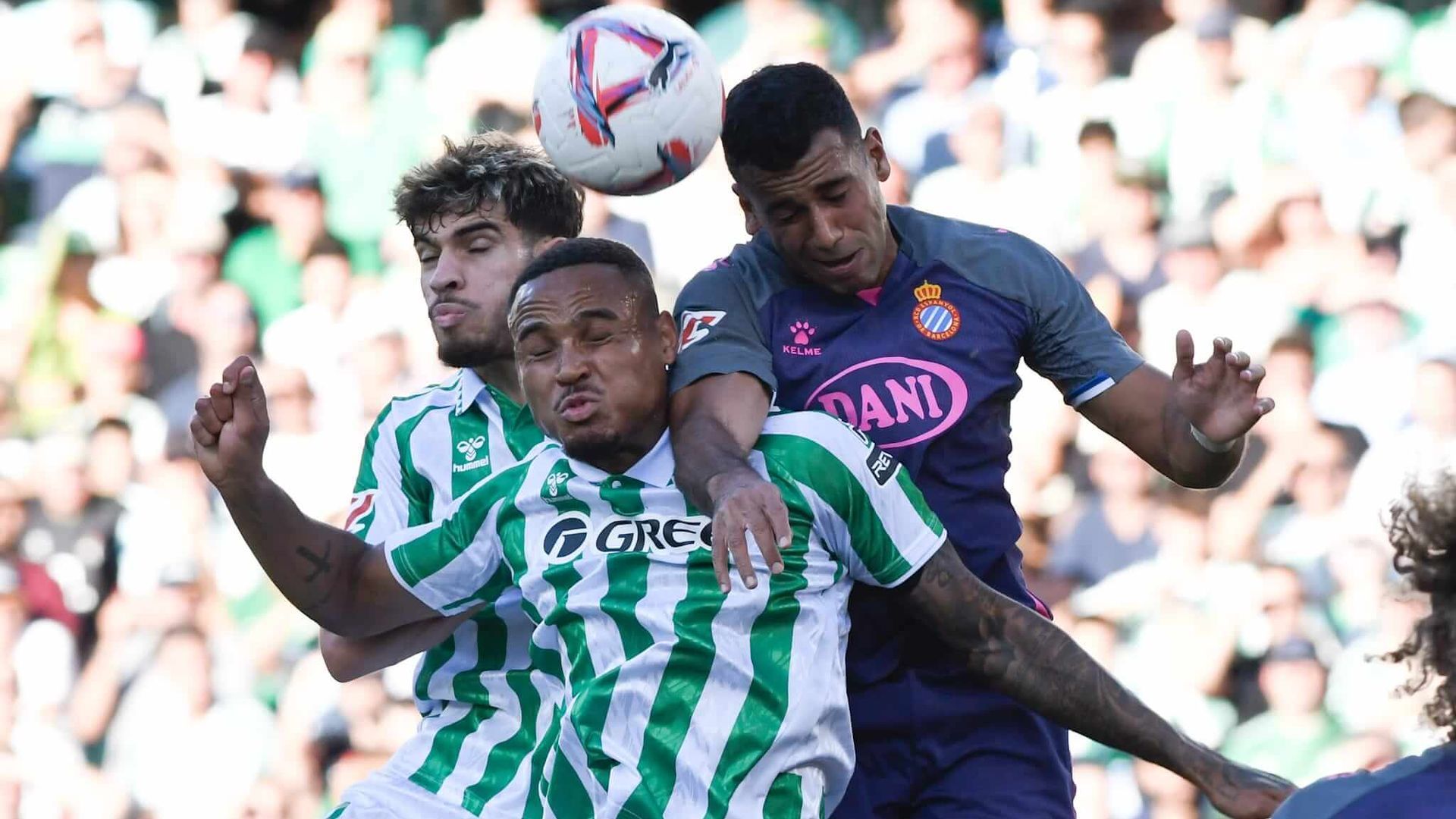 512ec3ca_54ce_4dce_ab52_3a35cd70abb1.jpg 512ec3ca_54ce_4dce_ab52_3a35cd70abb1.jpg