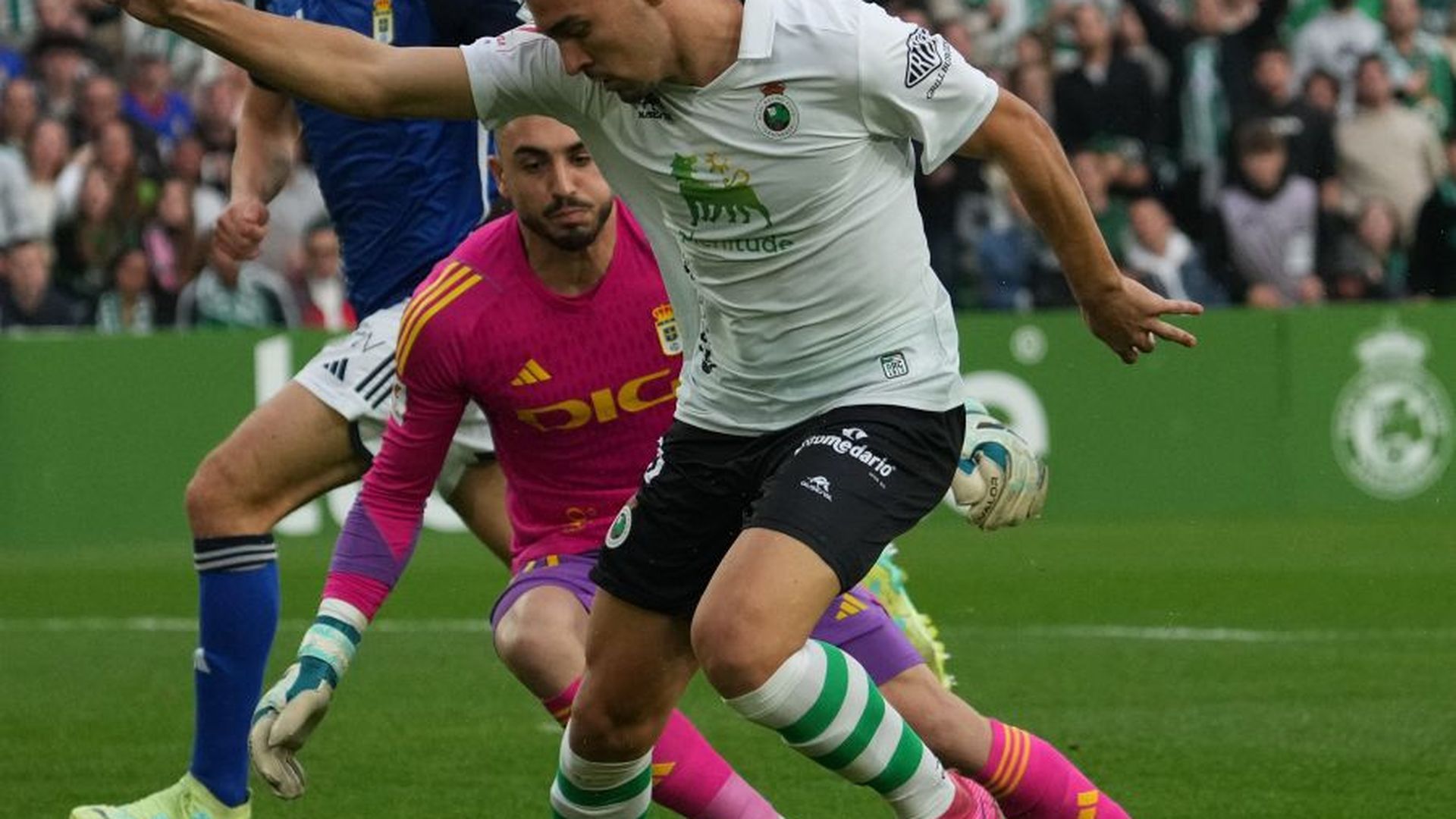 58a6ad517a84bee4931bb32922bcee92jpeg.jpeg 58a6ad517a84bee4931bb32922bcee92jpeg.jpeg