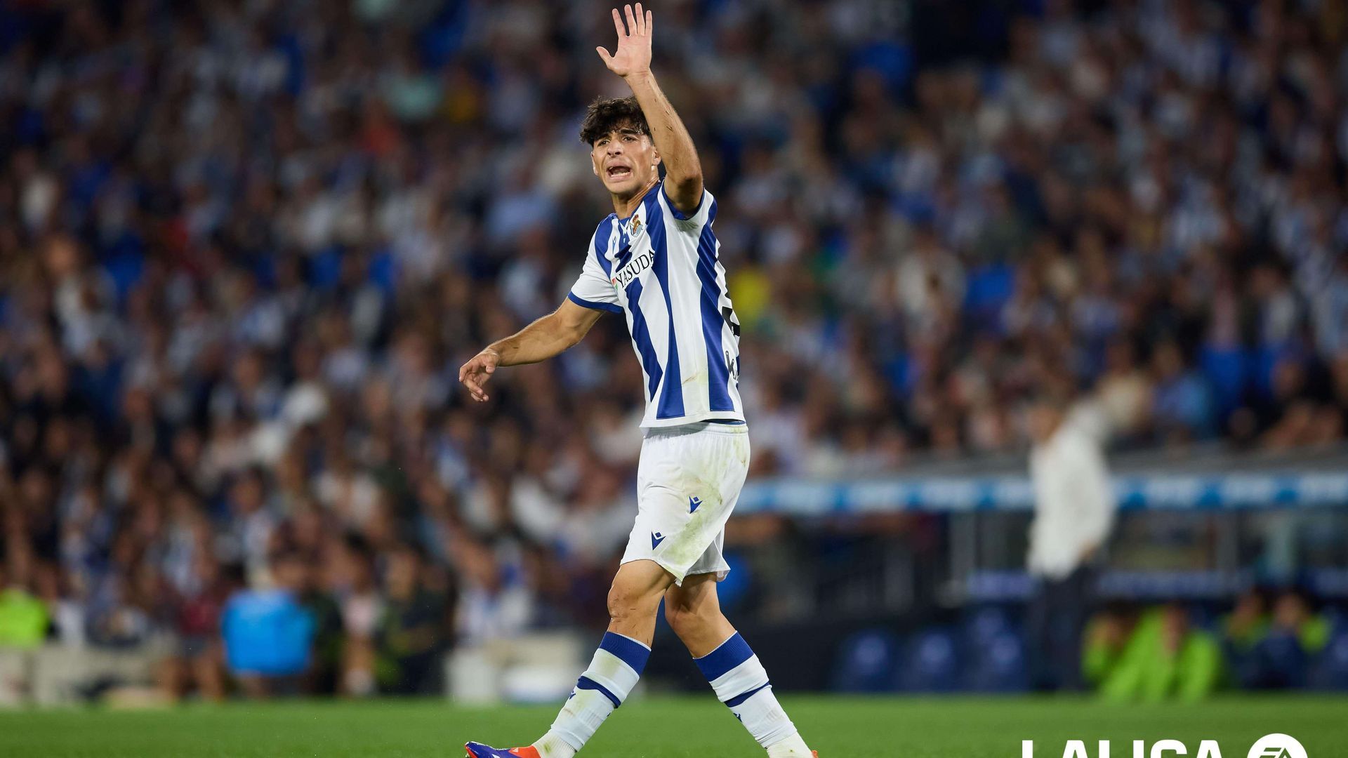 66cf902bd84d3313965592jpg.jpg 66cf902bd84d3313965592jpg.jpg