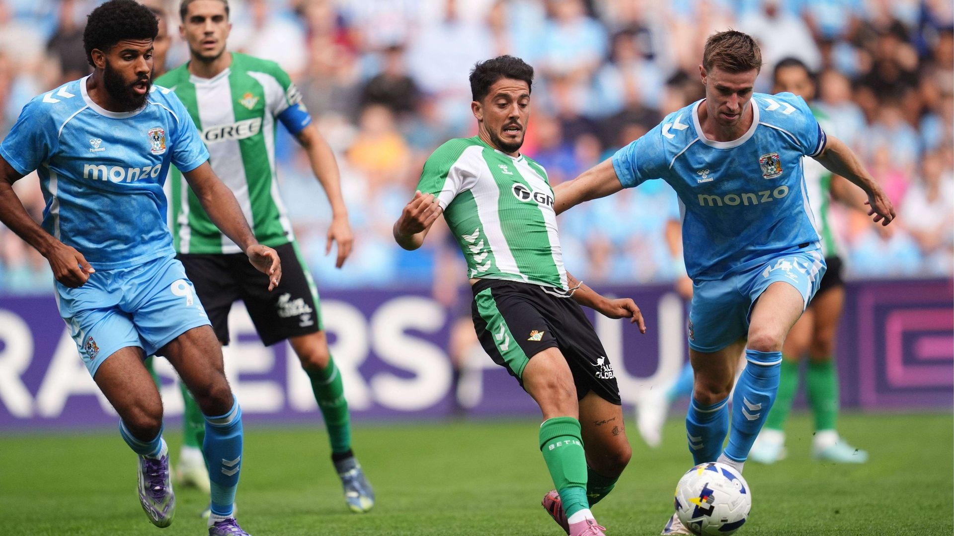 81141309.jpg 81141309.jpg