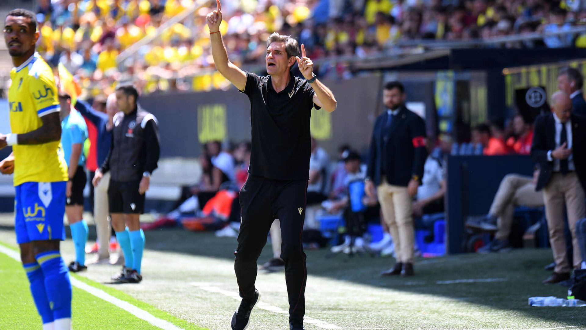 82394b02_bafd_447c_bd5e_a912a32e4fbf_946.jpg 82394b02_bafd_447c_bd5e_a912a32e4fbf_946.jpg