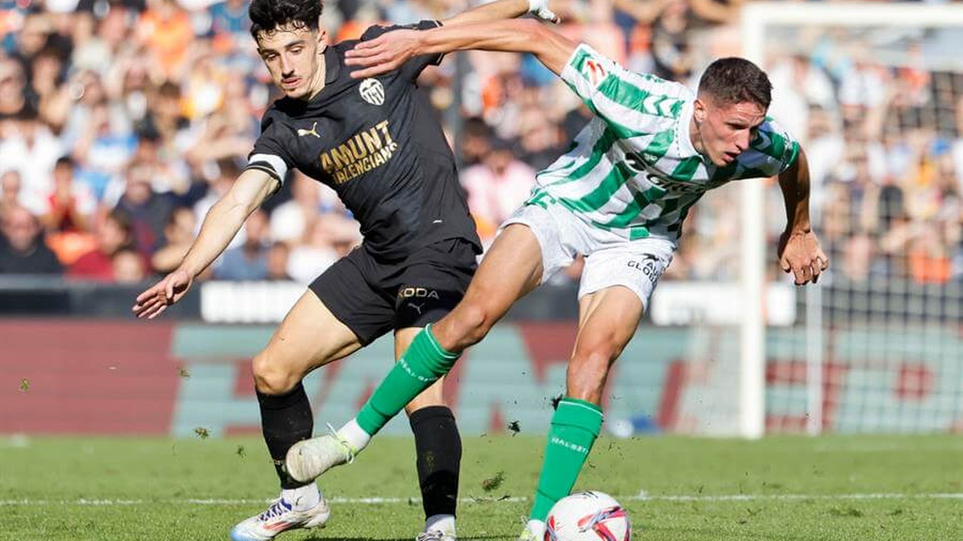 8613fcc9c3f937062ed528f6ca428ee2d51906cdminiw_001.jpg 8613fcc9c3f937062ed528f6ca428ee2d51906cdminiw_001.jpg