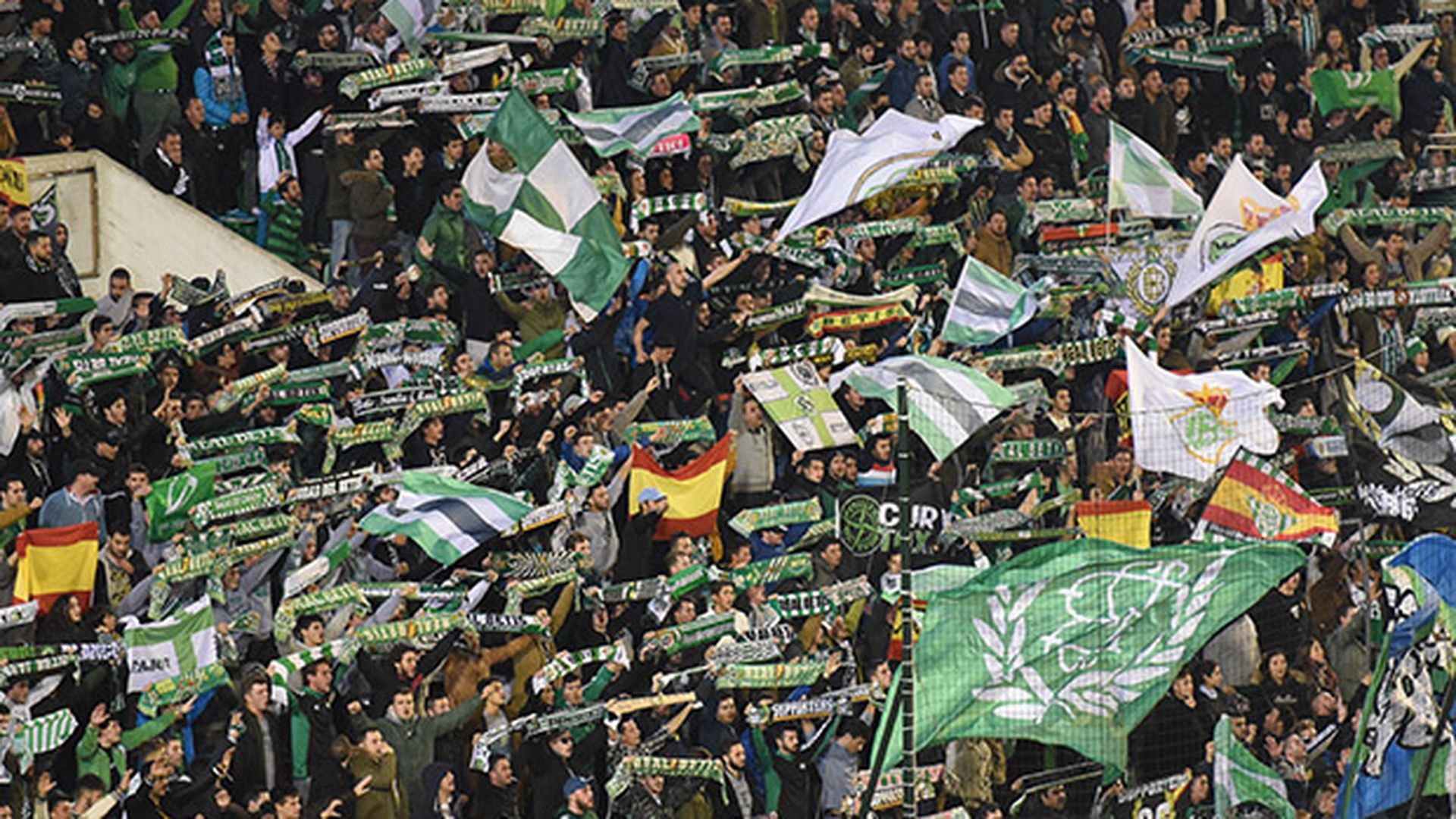 aficionbetis.jpg aficionbetis.jpg