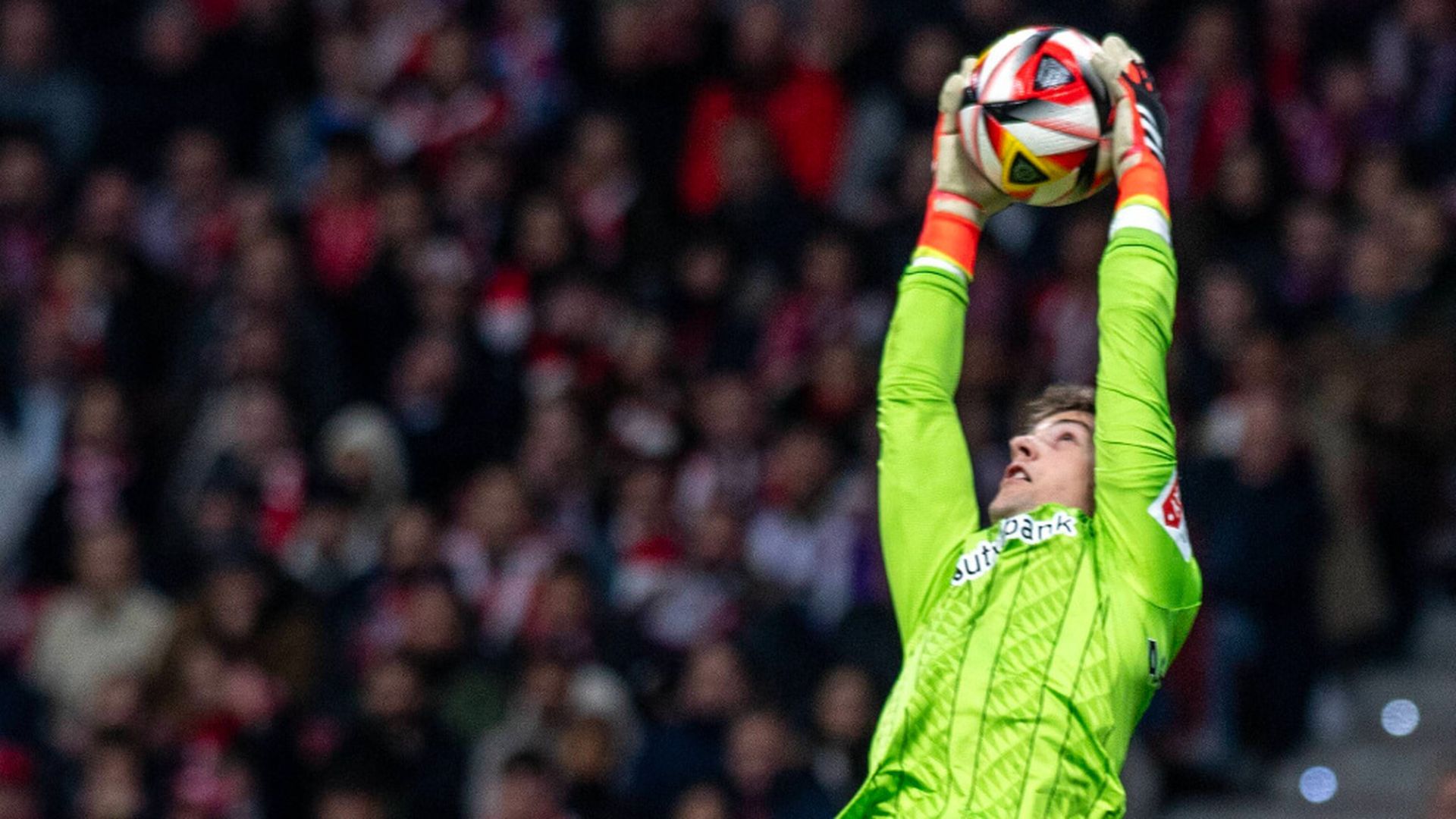 agirrjpg_001.jpg agirrjpg_001.jpg