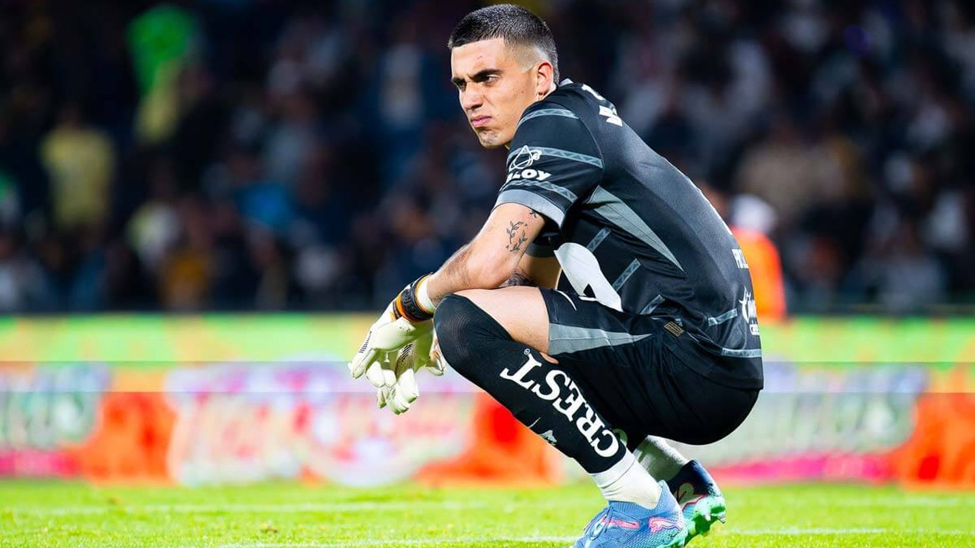 alex_padilla.jpg alex_padilla.jpg