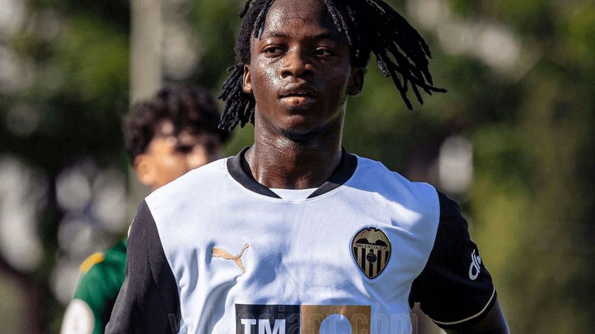 ali_fadal.png ali_fadal.png