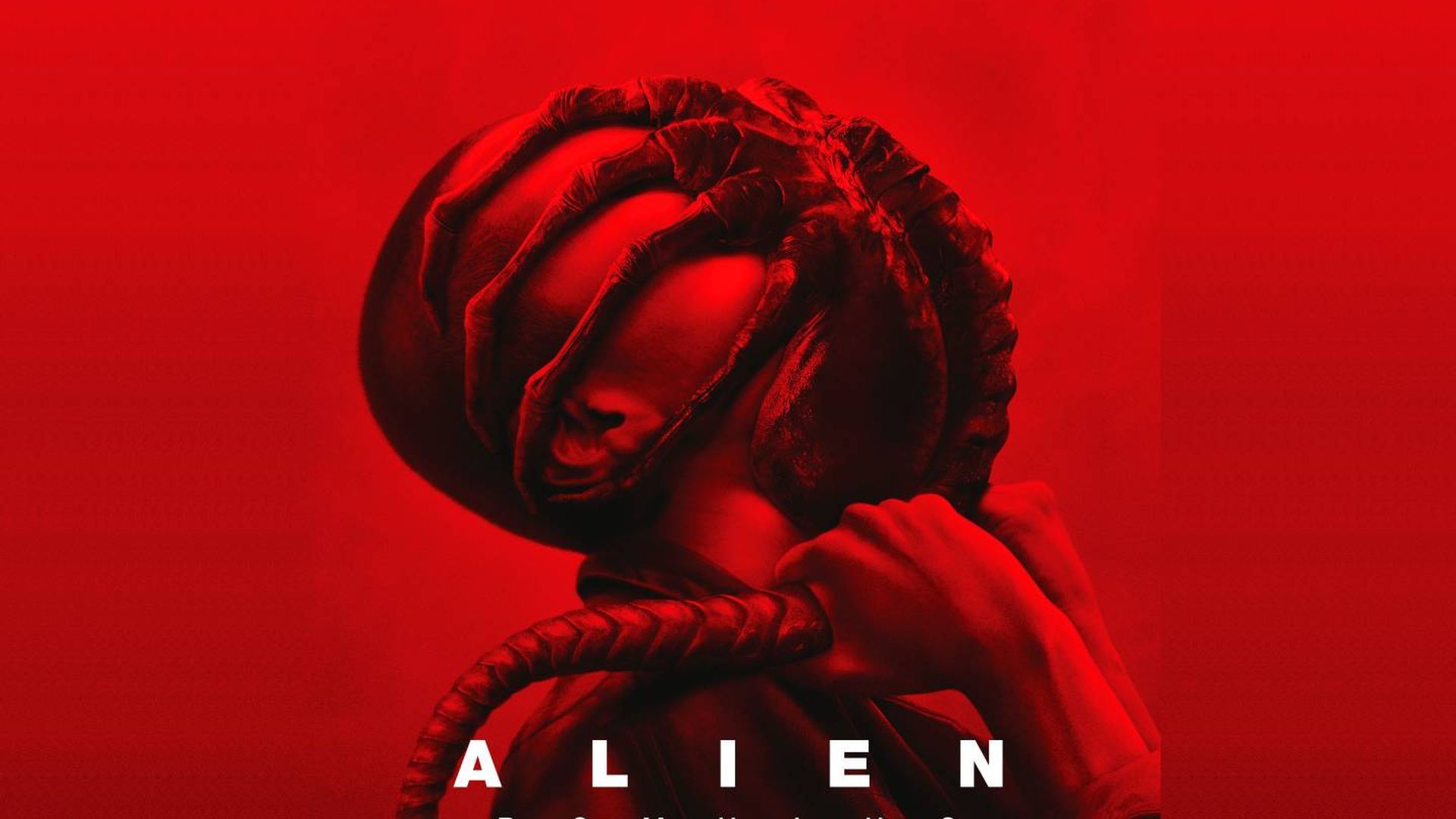 alien_romulus.jpg alien_romulus.jpg