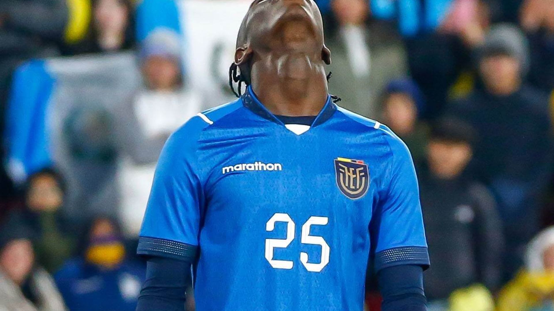 allen_obandojpg_001.jpg allen_obandojpg_001.jpg