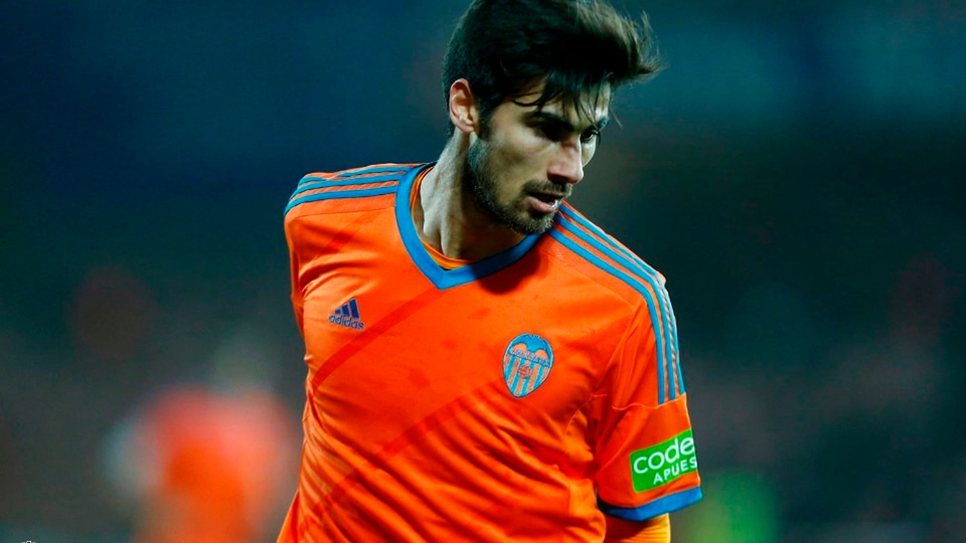 andrevcf.jpg andrevcf.jpg