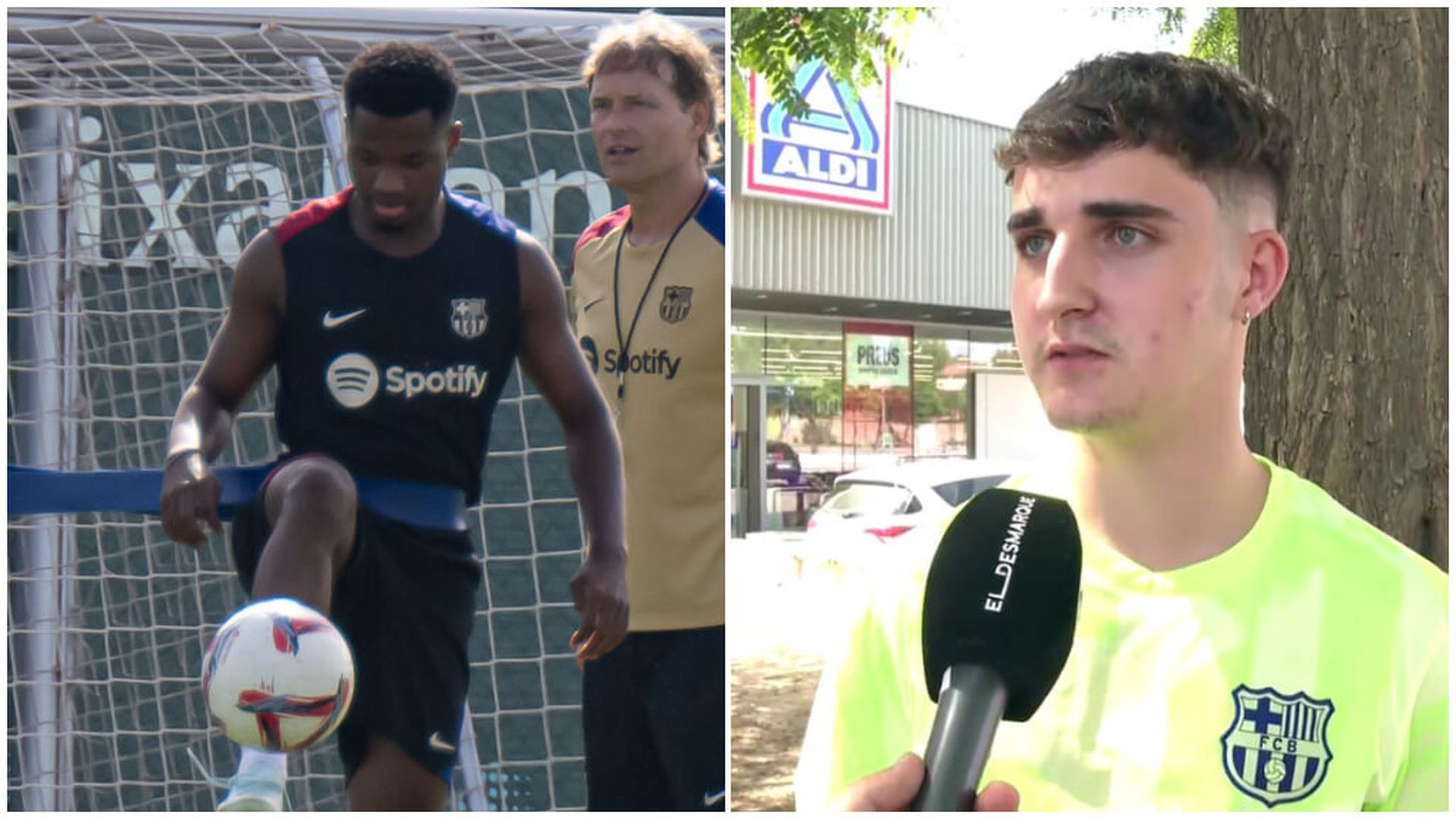 ansufaticulesjpg.jpg ansufaticulesjpg.jpg