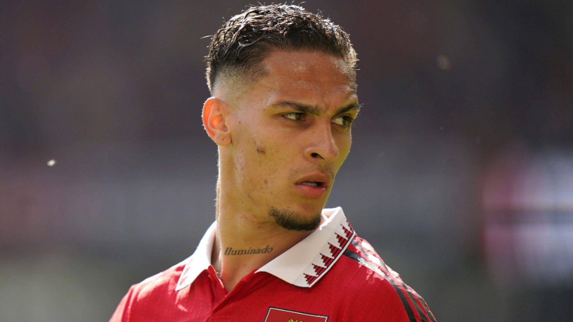 antony.jpg antony.jpg