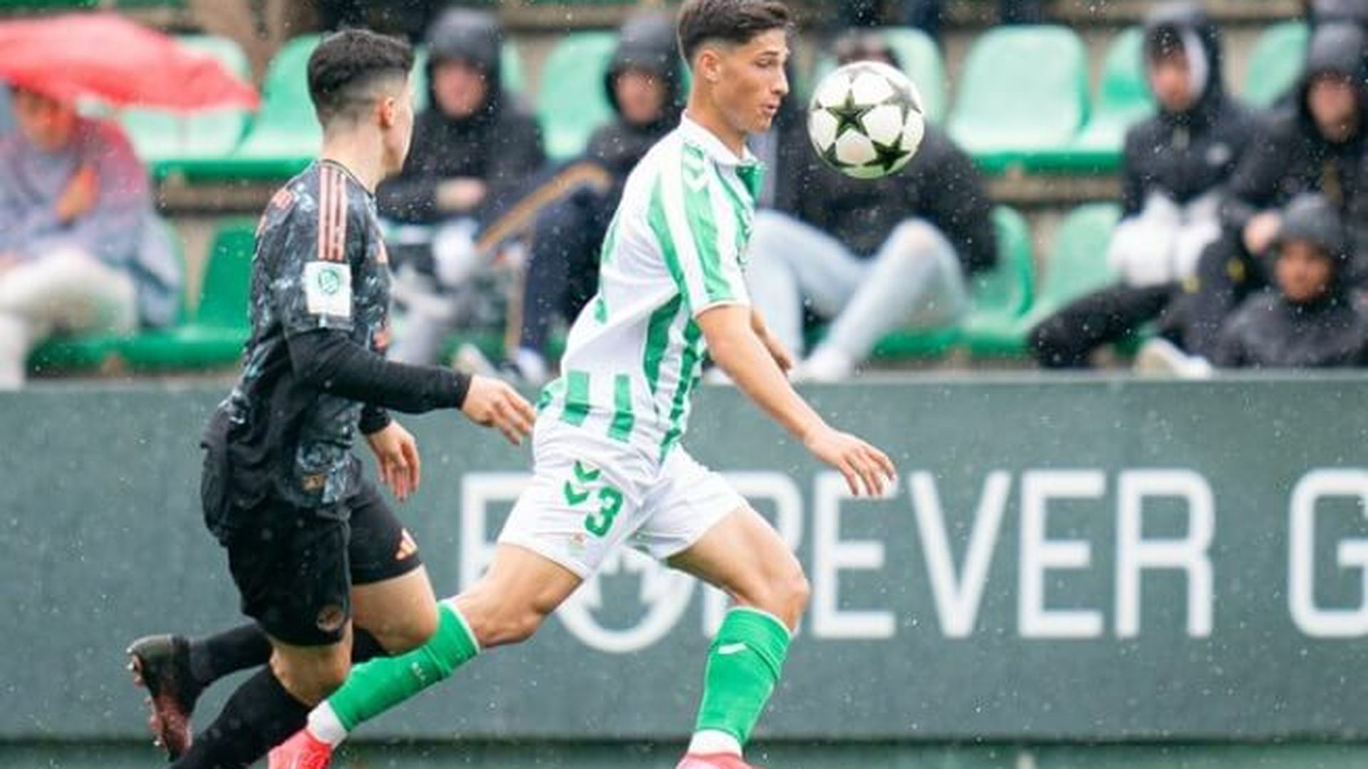 arenas.jpg arenas.jpg