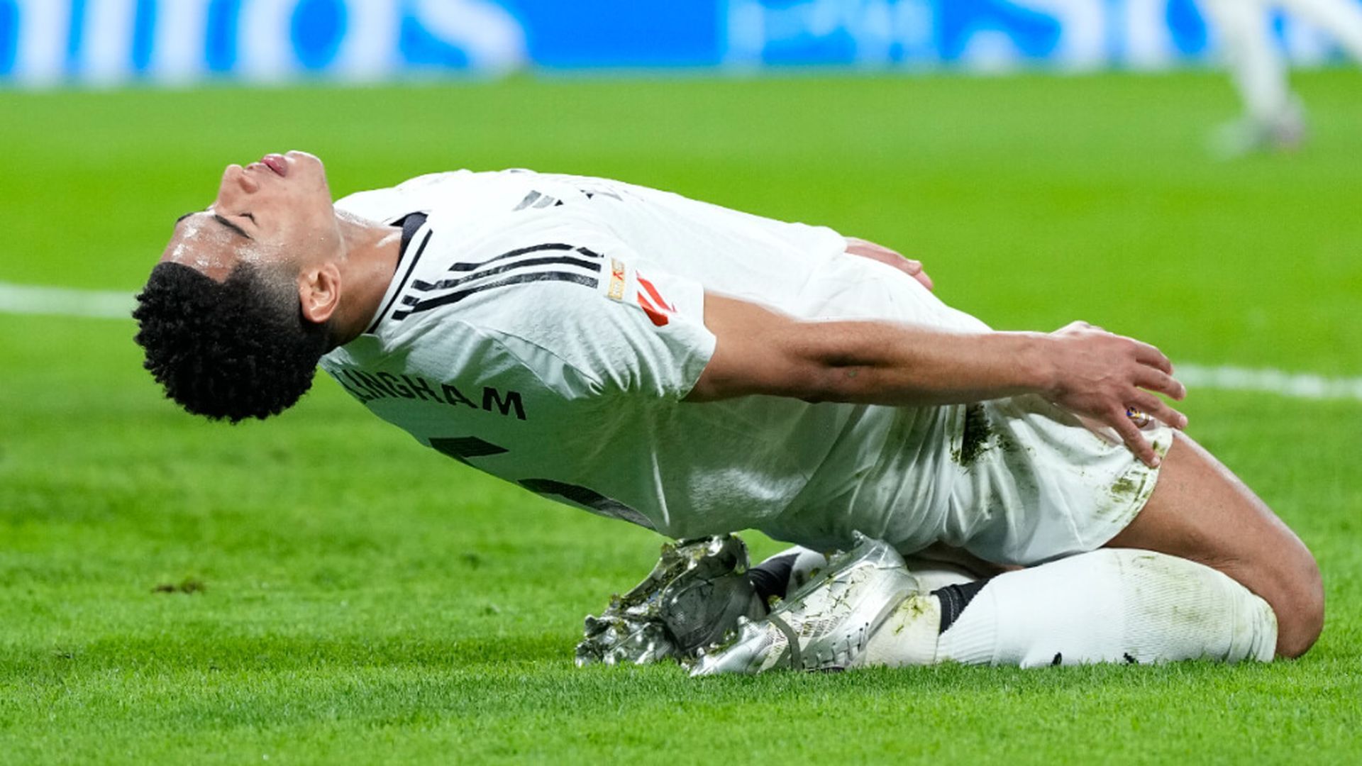 bellingham_1jpg.jpg bellingham_1jpg.jpg