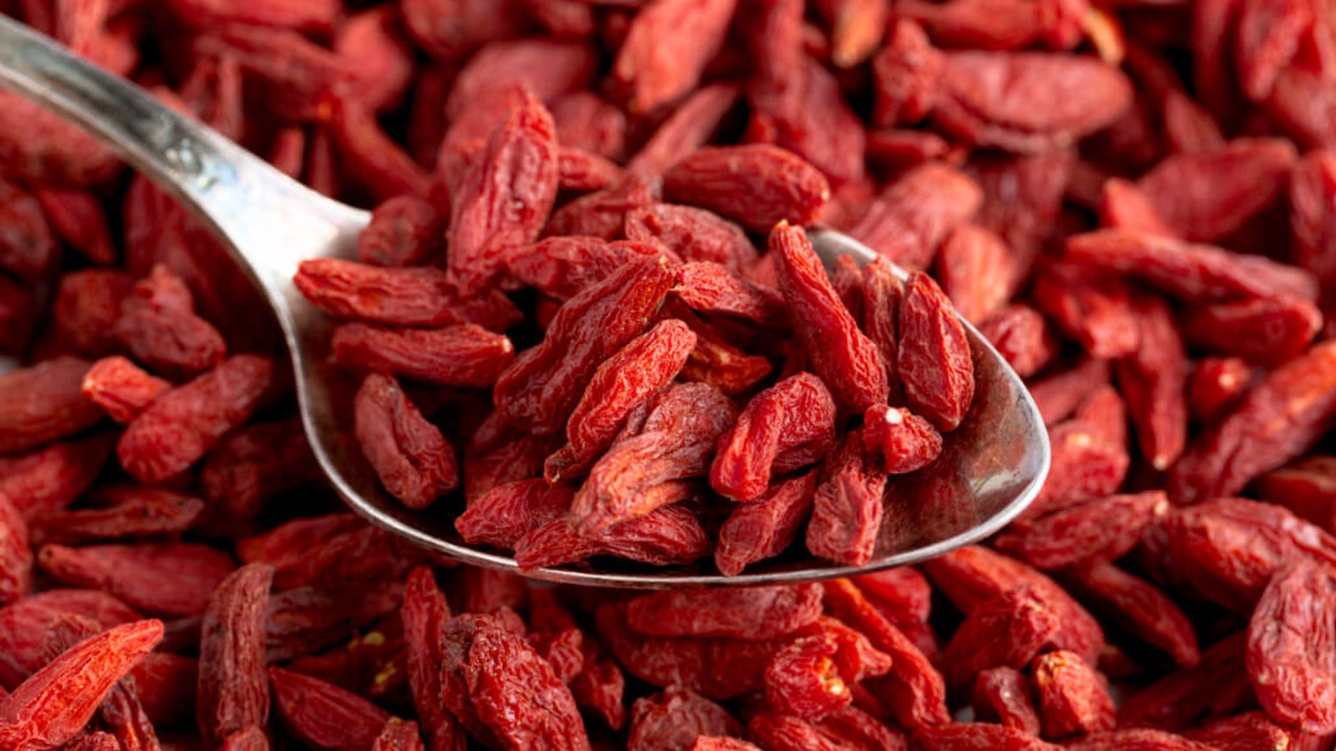 berberinajpg_001.jpg berberinajpg_001.jpg