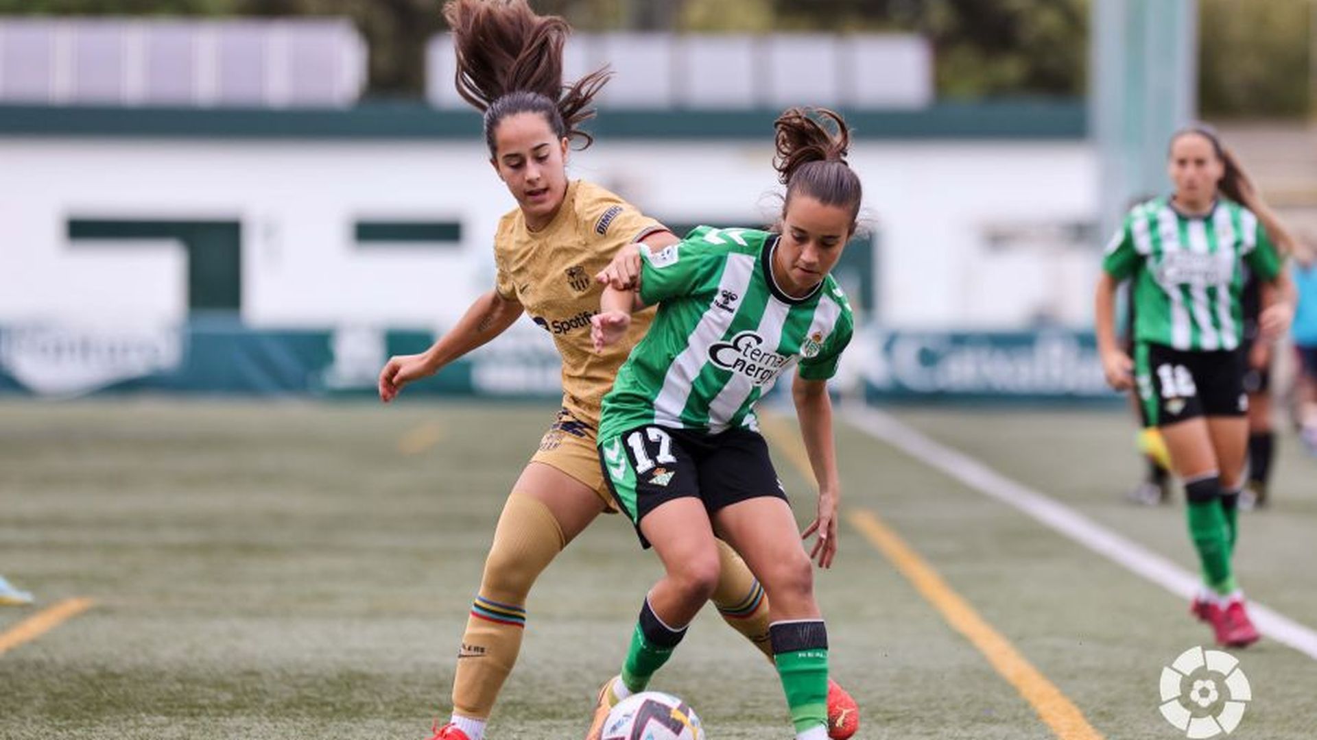 bfjpf.jpeg bfjpf.jpeg