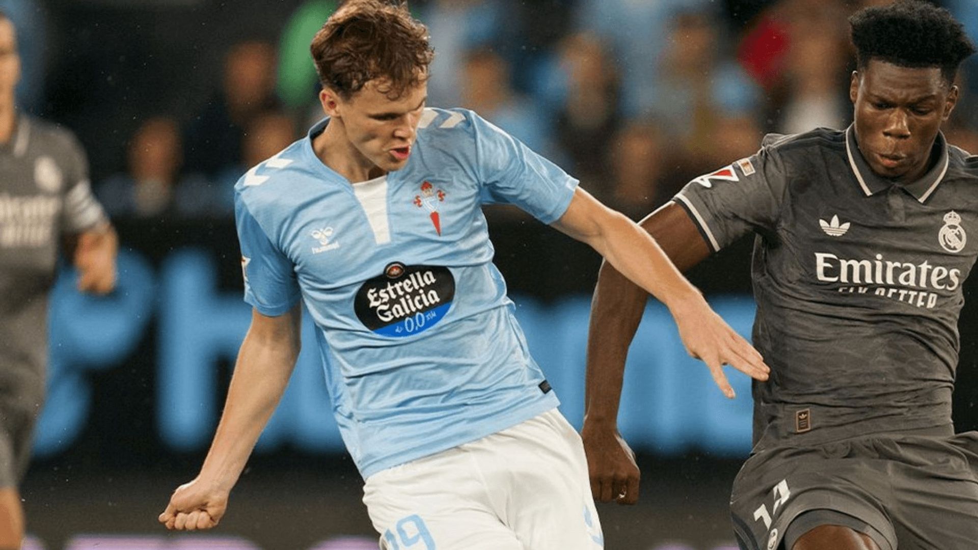 blockquote_classtwitter_tweetp_langes_dirltr_____mucha_fuerza_a_hrefhttpstwittercomdan.png blockquote_classtwitter_tweetp_langes_dirltr_____mucha_fuerza_a_hrefhttpstwittercomdan.png