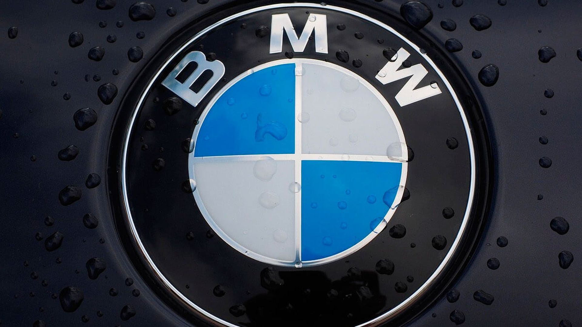 bmw_logojpg.jpg