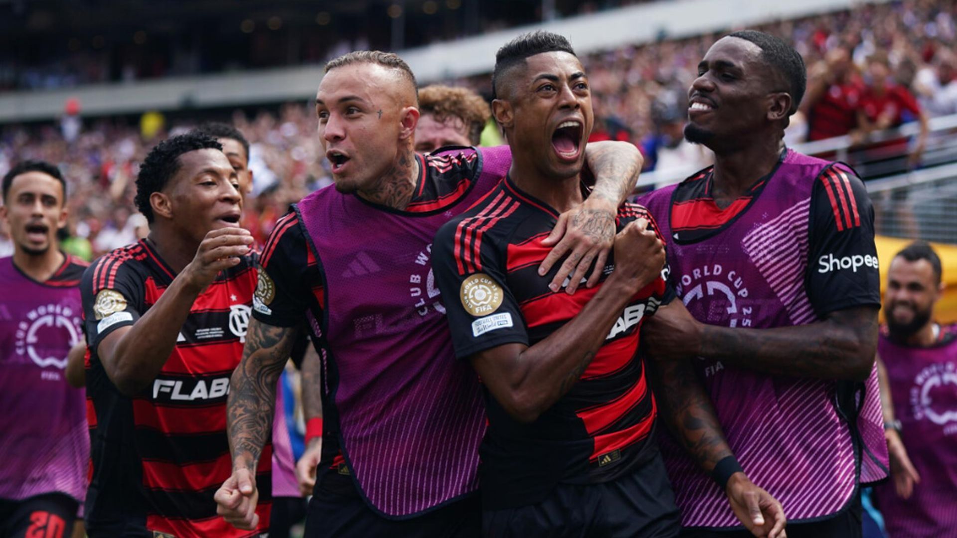 bruno_hernqieujpg.jpg bruno_hernqieujpg.jpg