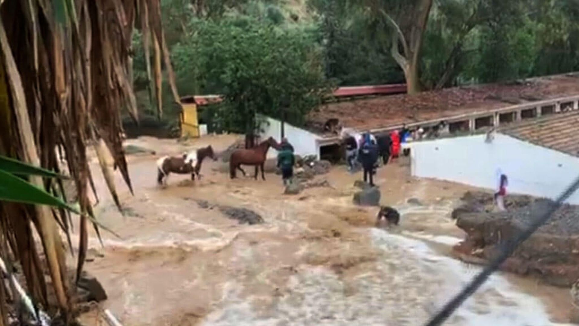 Los bomberos salvan a los caballos del Club Hípico de Málaga