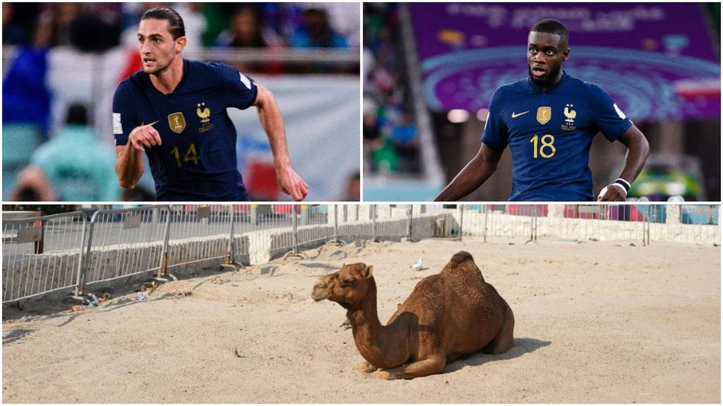Preocupación en Francia: Upamecano, Coman y Rabiot sufren síntomas compatibles con el 'virus del camello'