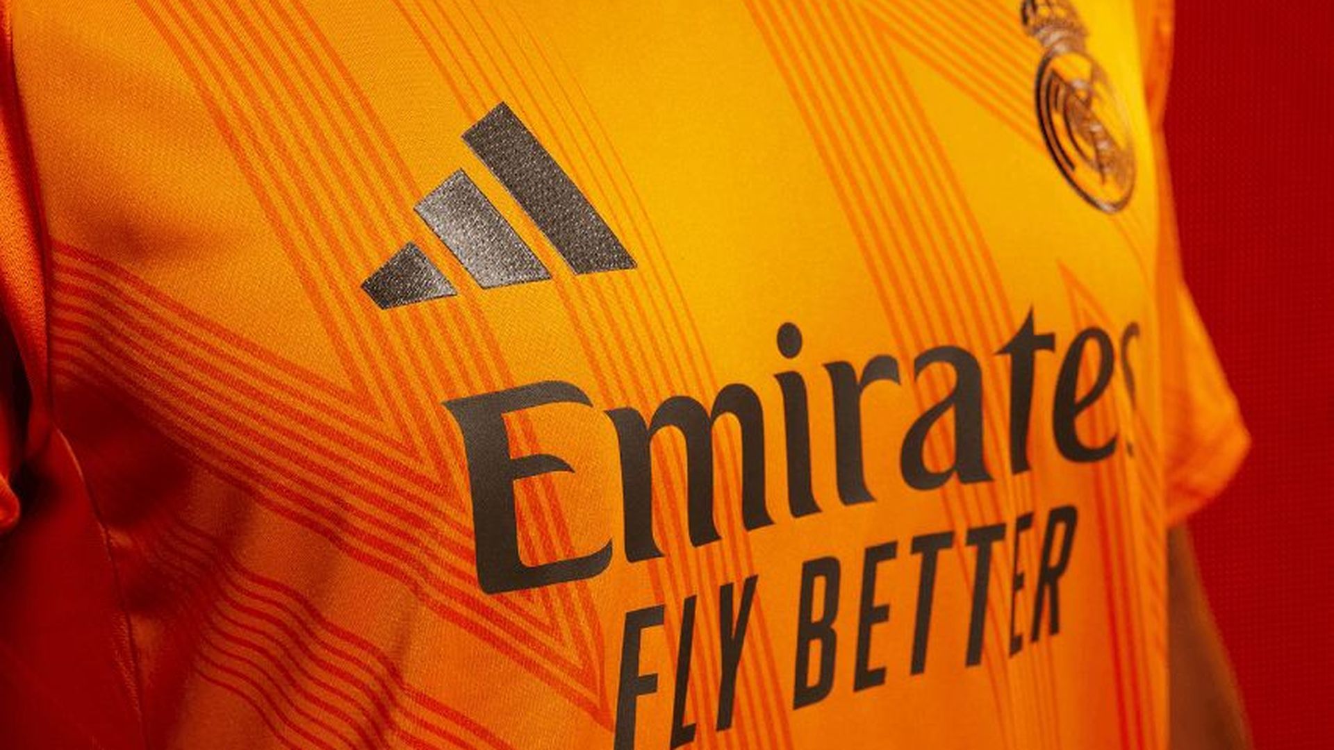 camisetapng.png camisetapng.png