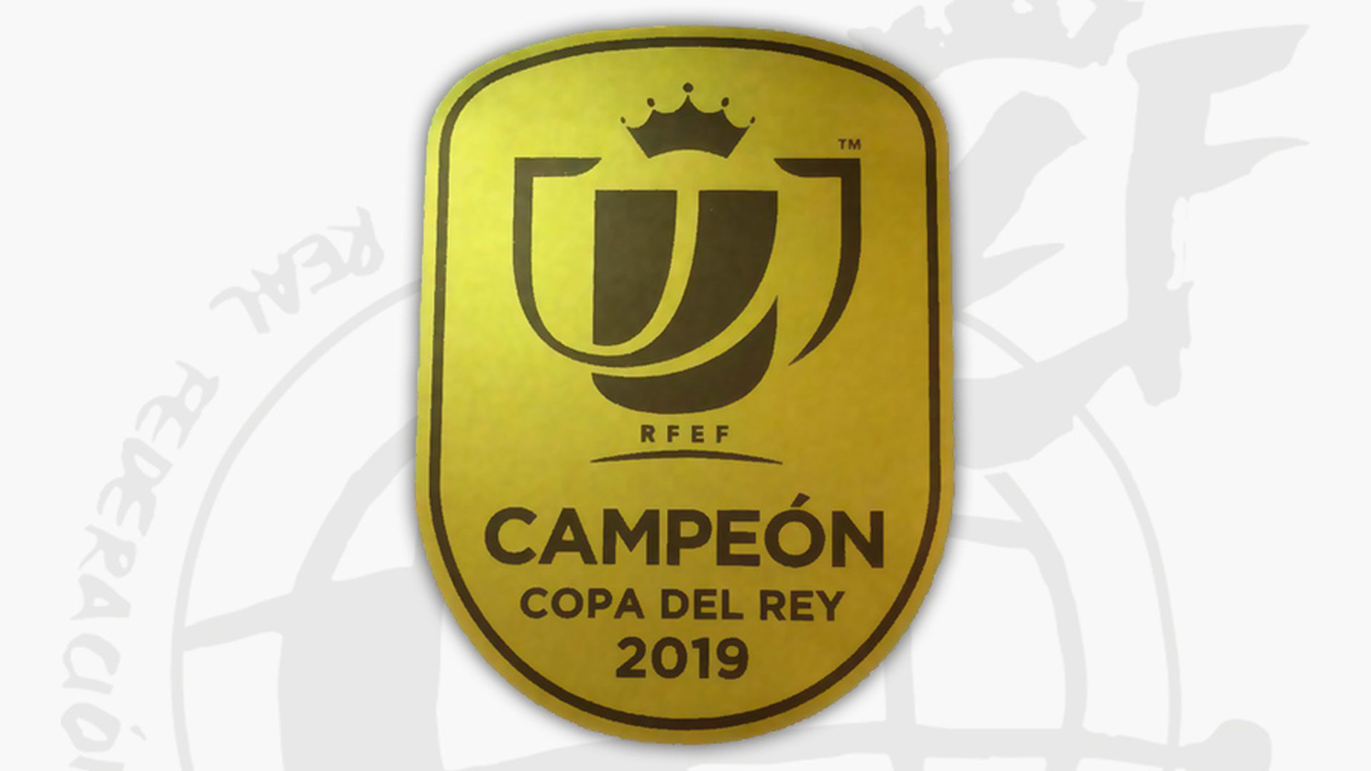 campeon_de_copa.jpg
