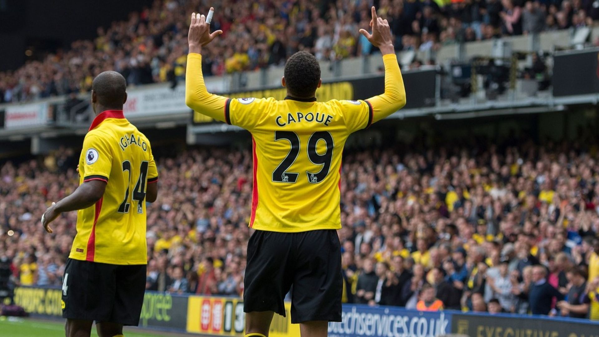 capoue_foto_watford_002.jpg capoue_foto_watford_002.jpg