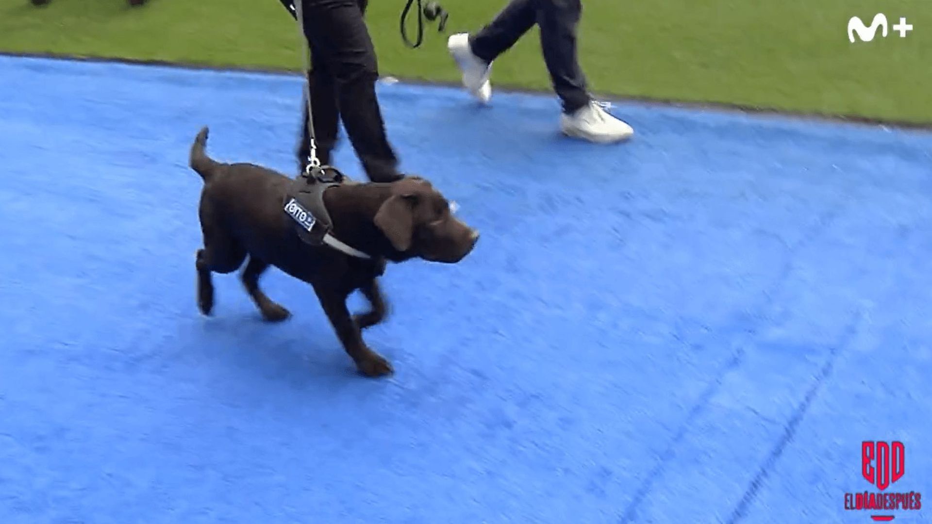 captura_de_pantalla_1333png_001.png captura_de_pantalla_1333png_001.png