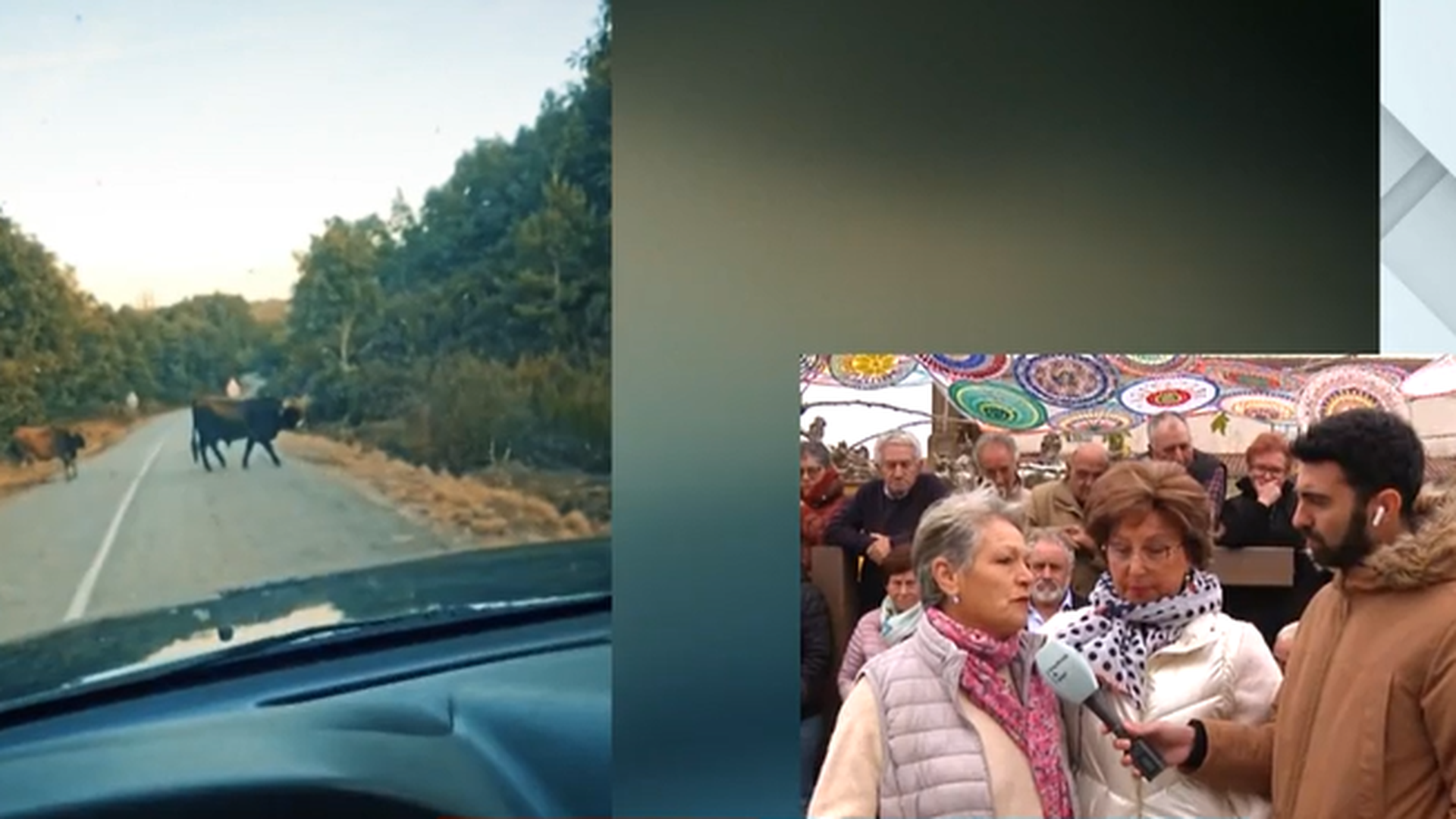 Captura de pantalla 2025-11-11 134612