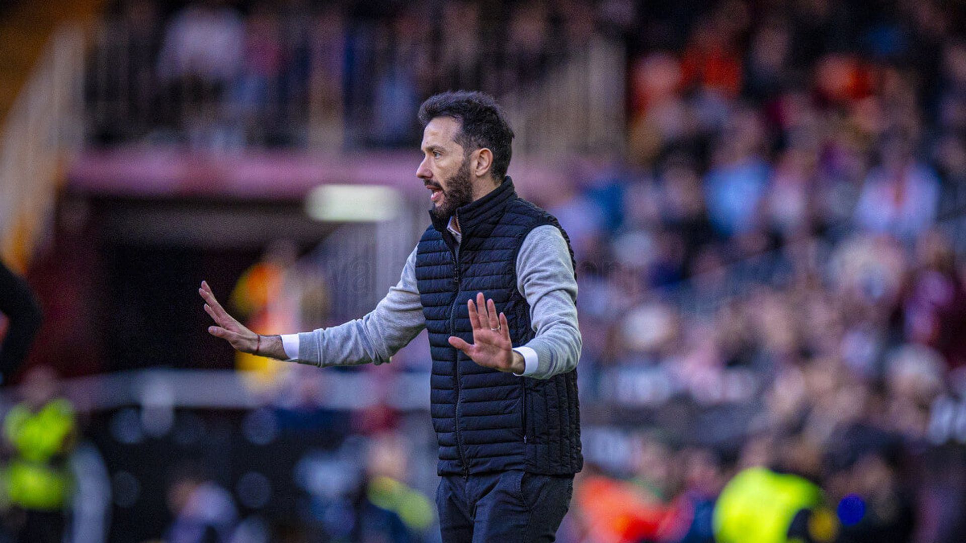 carlos_corberan_ante_el_cd_leganes_foto_valencia_cf.jpg carlos_corberan_ante_el_cd_leganes_foto_valencia_cf.jpg