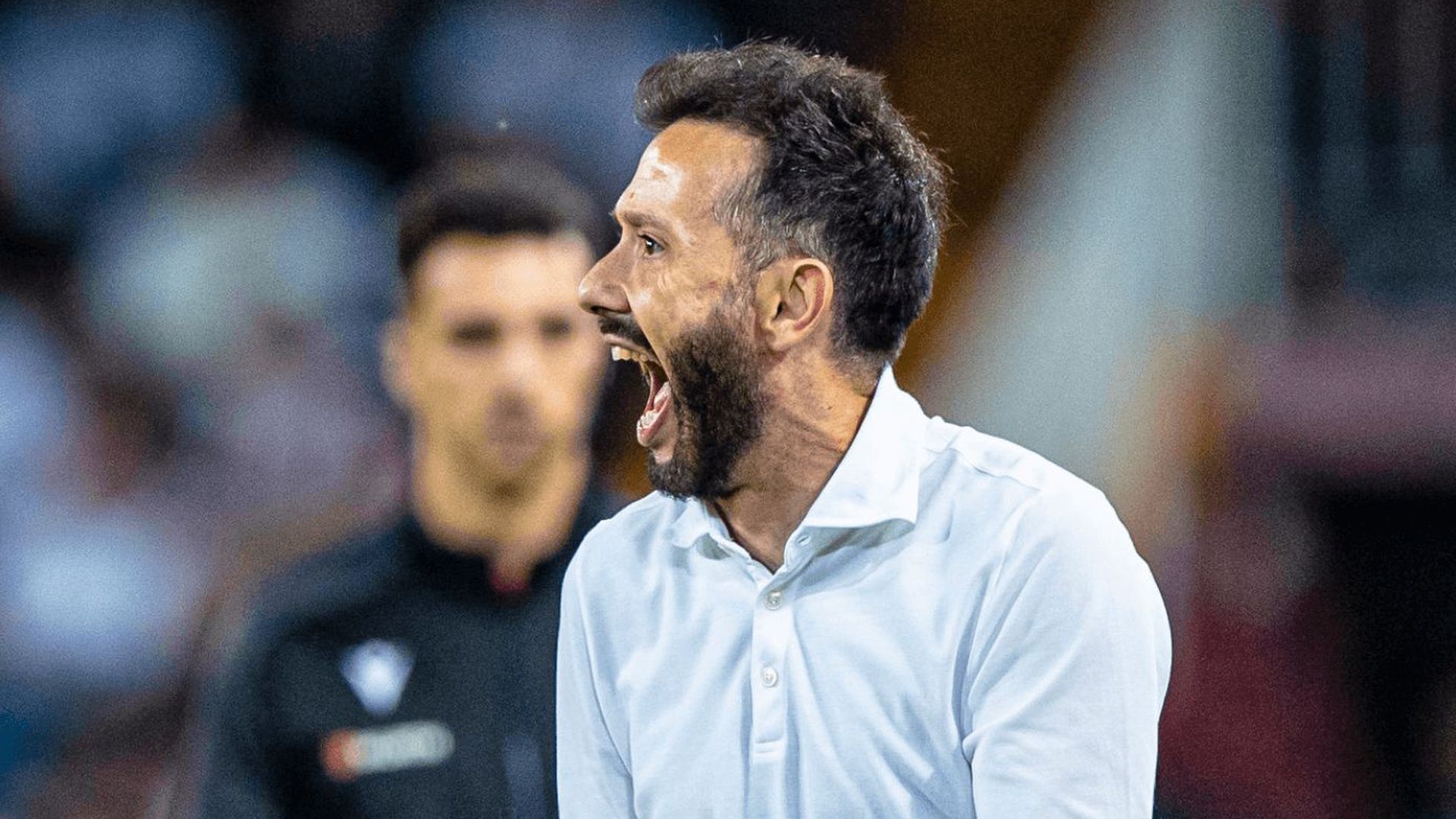 carlos_corberan_grita_desesperado_en_mestalla_foto_valencia_cf_001.png carlos_corberan_grita_desesperado_en_mestalla_foto_valencia_cf_001.png