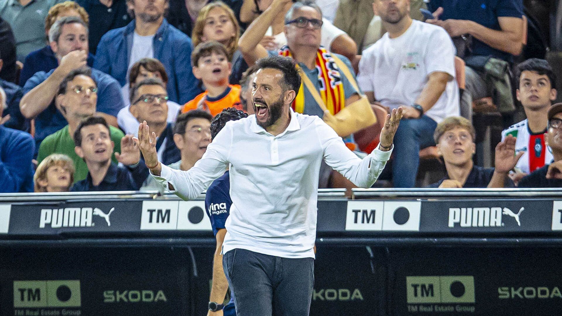 carlos_corberan_grita_desesperado_en_mestalla_foto_valencia_cf.jpg carlos_corberan_grita_desesperado_en_mestalla_foto_valencia_cf.jpg