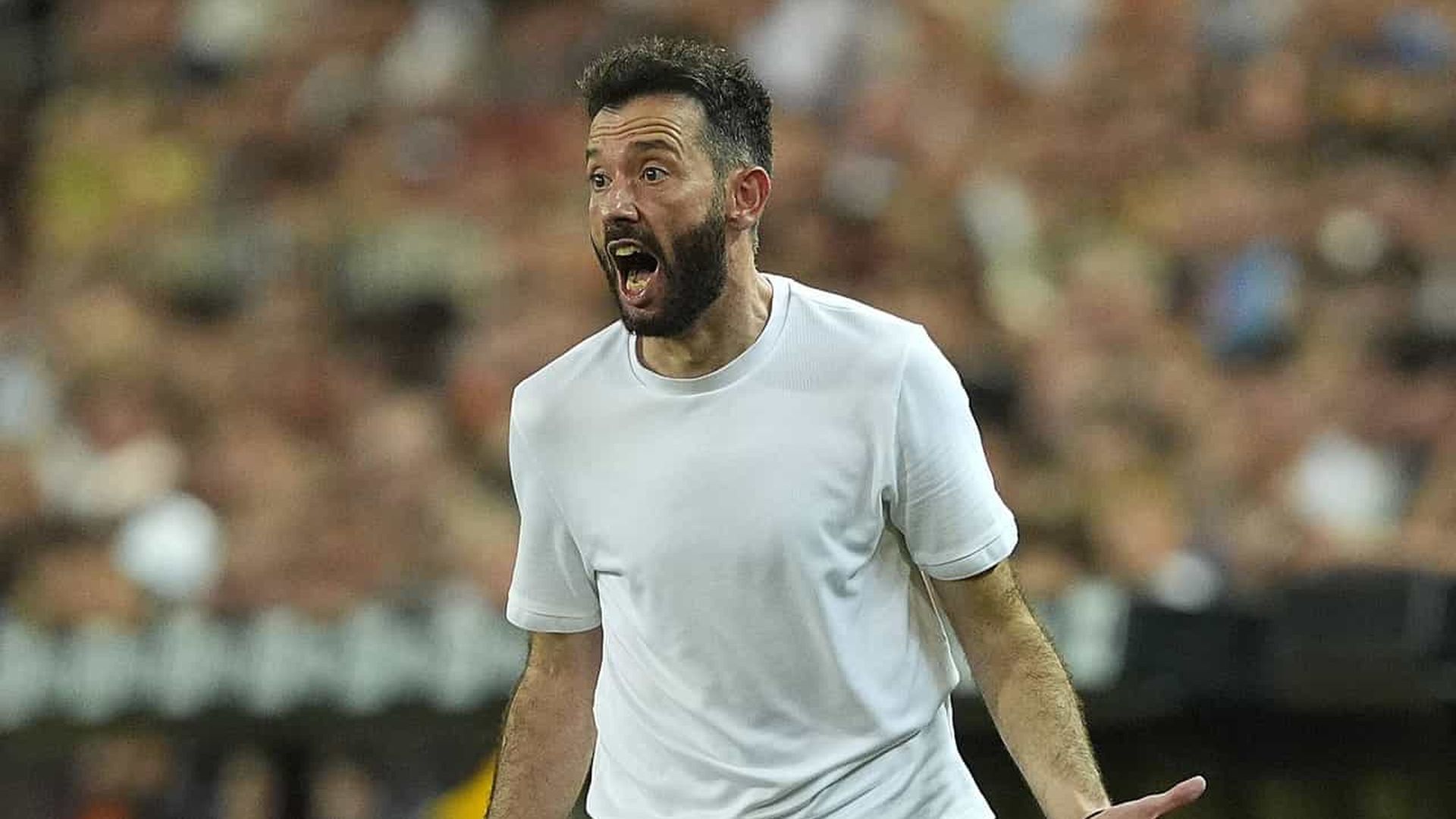 carlos_corberan_grita_en_mestalla_foto_cordon_press.jpeg carlos_corberan_grita_en_mestalla_foto_cordon_press.jpeg