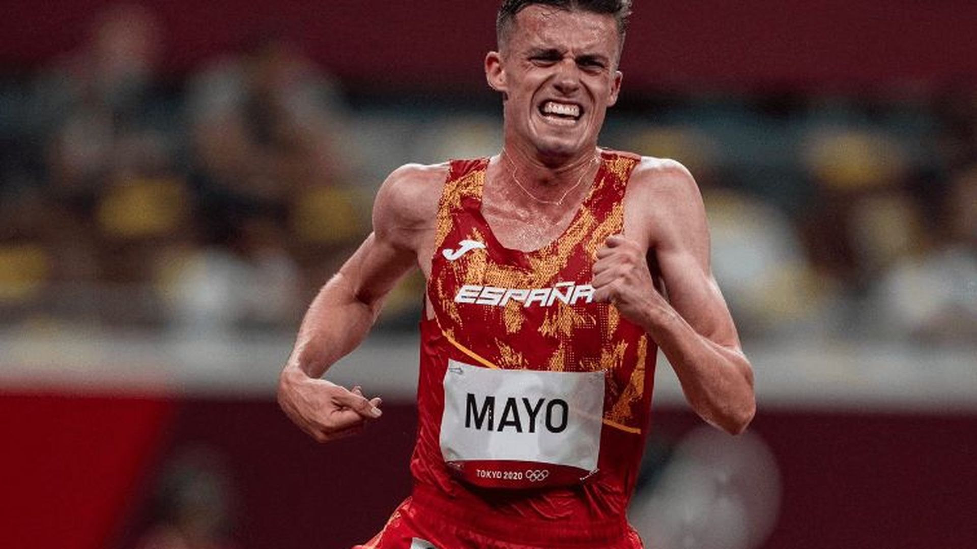 carlos_mayo_003.png carlos_mayo_003.png