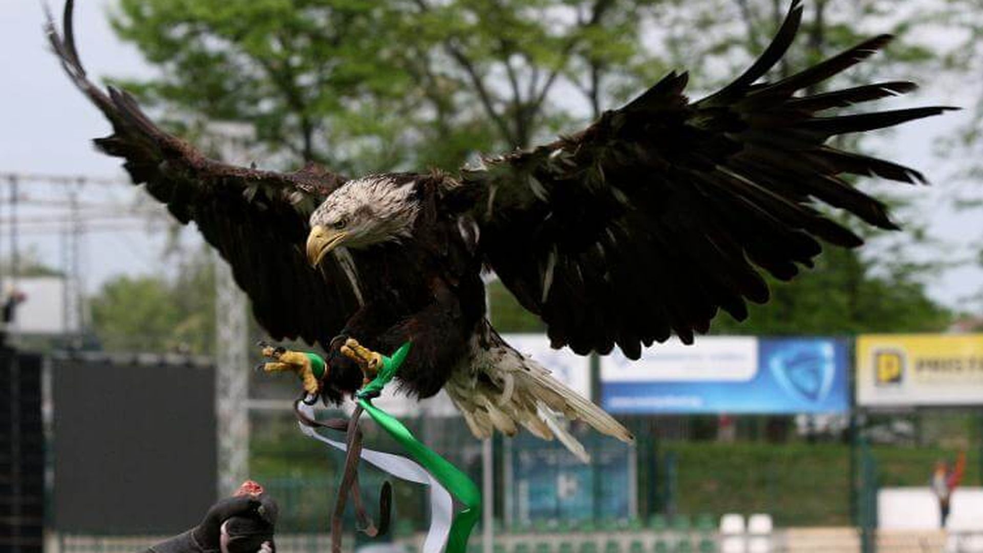 cffd0byw0aahydhjpg_001.jpg cffd0byw0aahydhjpg_001.jpg