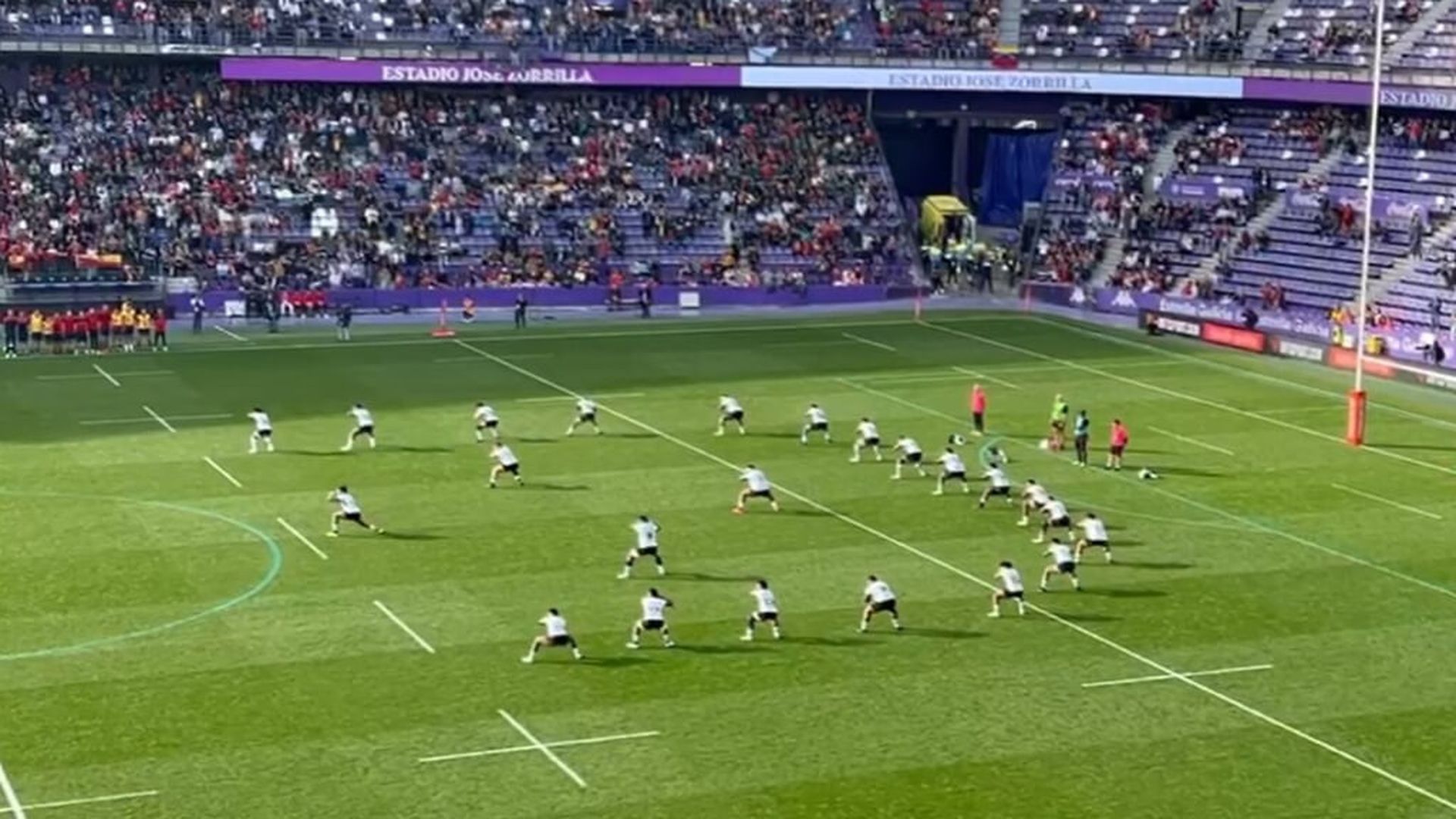 cibi_fiyijpg.jpg cibi_fiyijpg.jpg